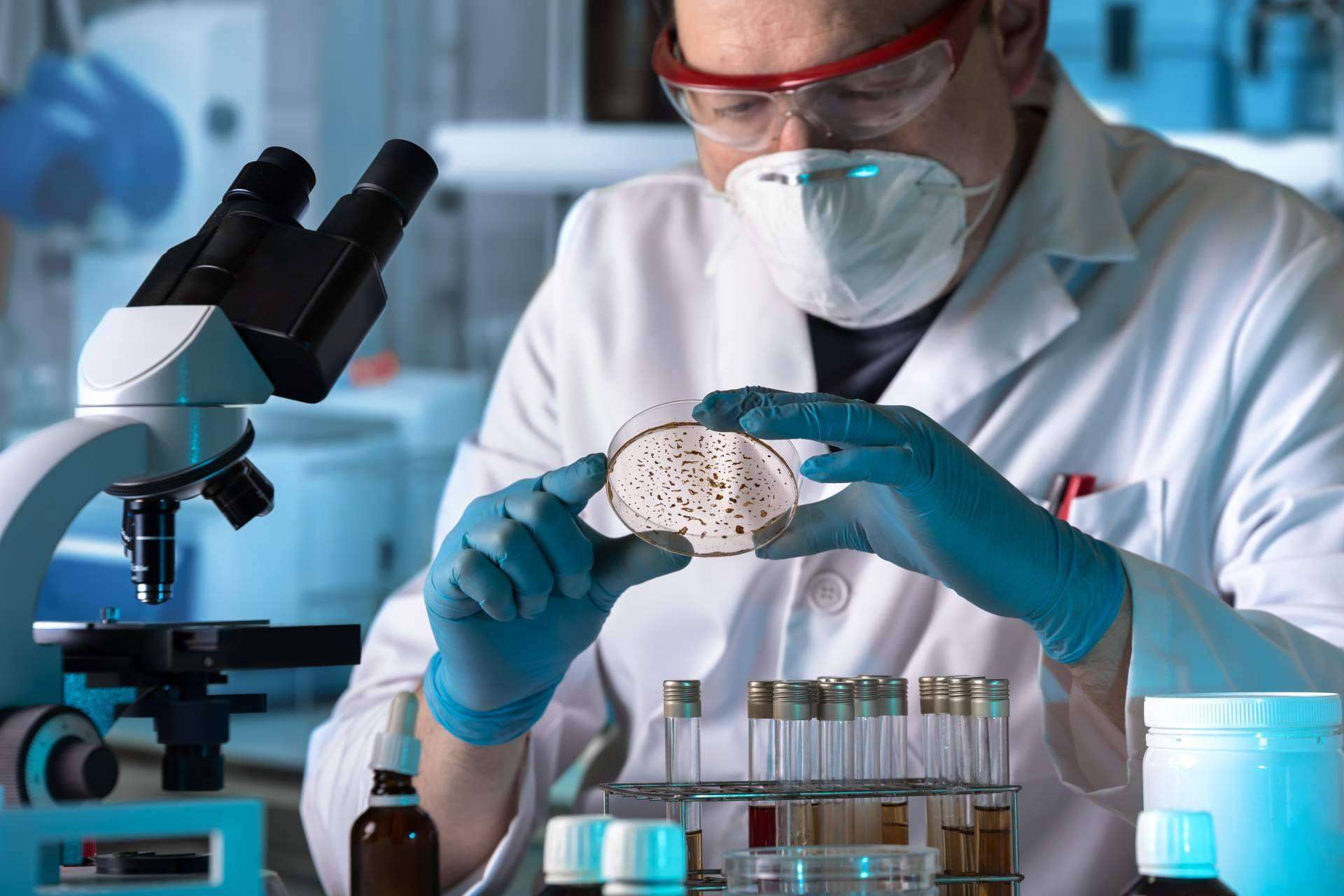 ¿Existe tratamiento para la disbiosis intestinal?