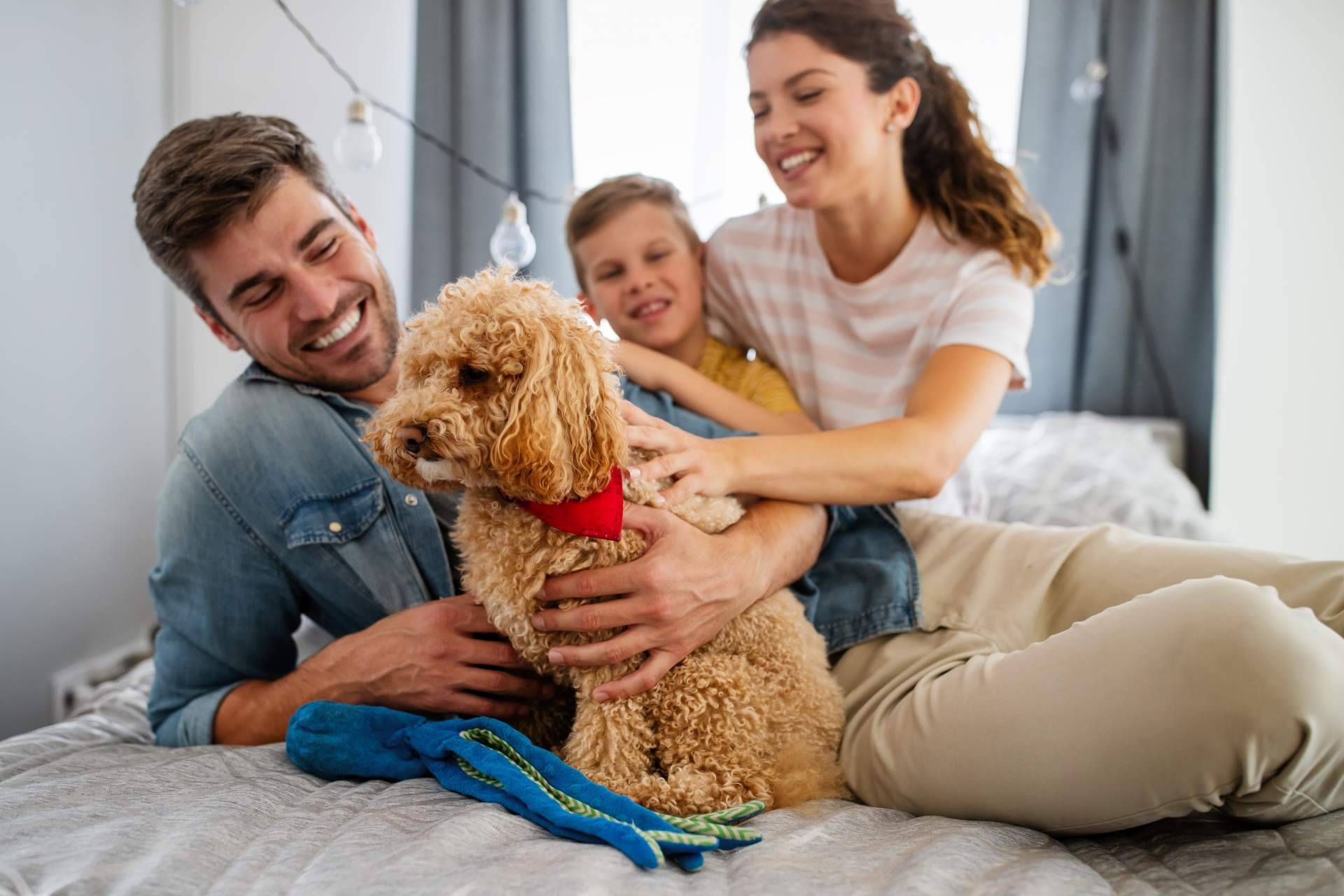 Consejos para una buena convivencia con perros y gatos. La antrozoología y etología del perro y del gato