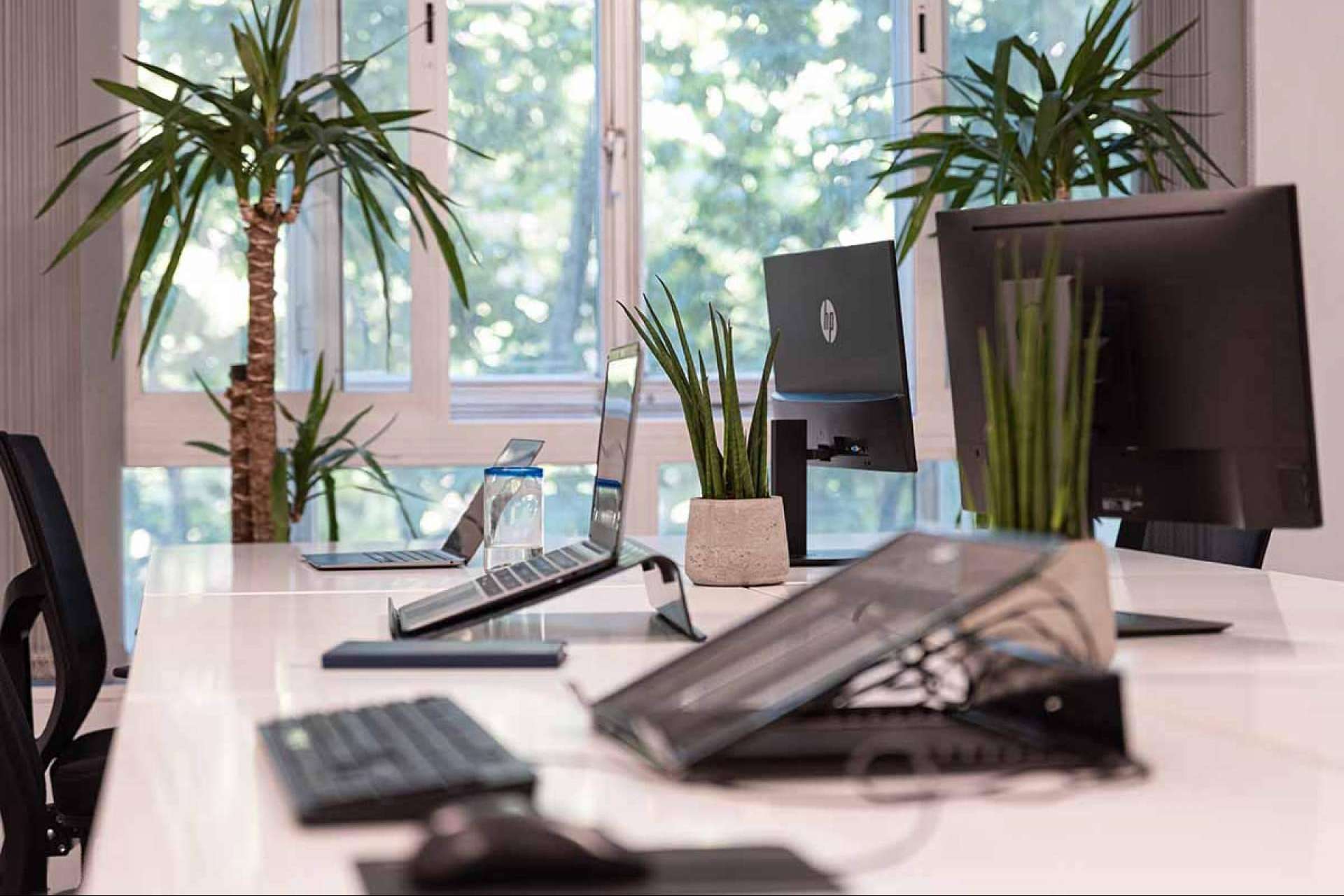 Oficina virtual en OXYGEN coworking en Madrid