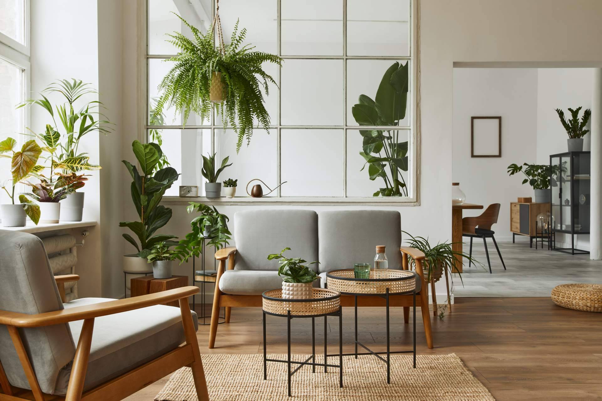 Decoración de salas con encanto