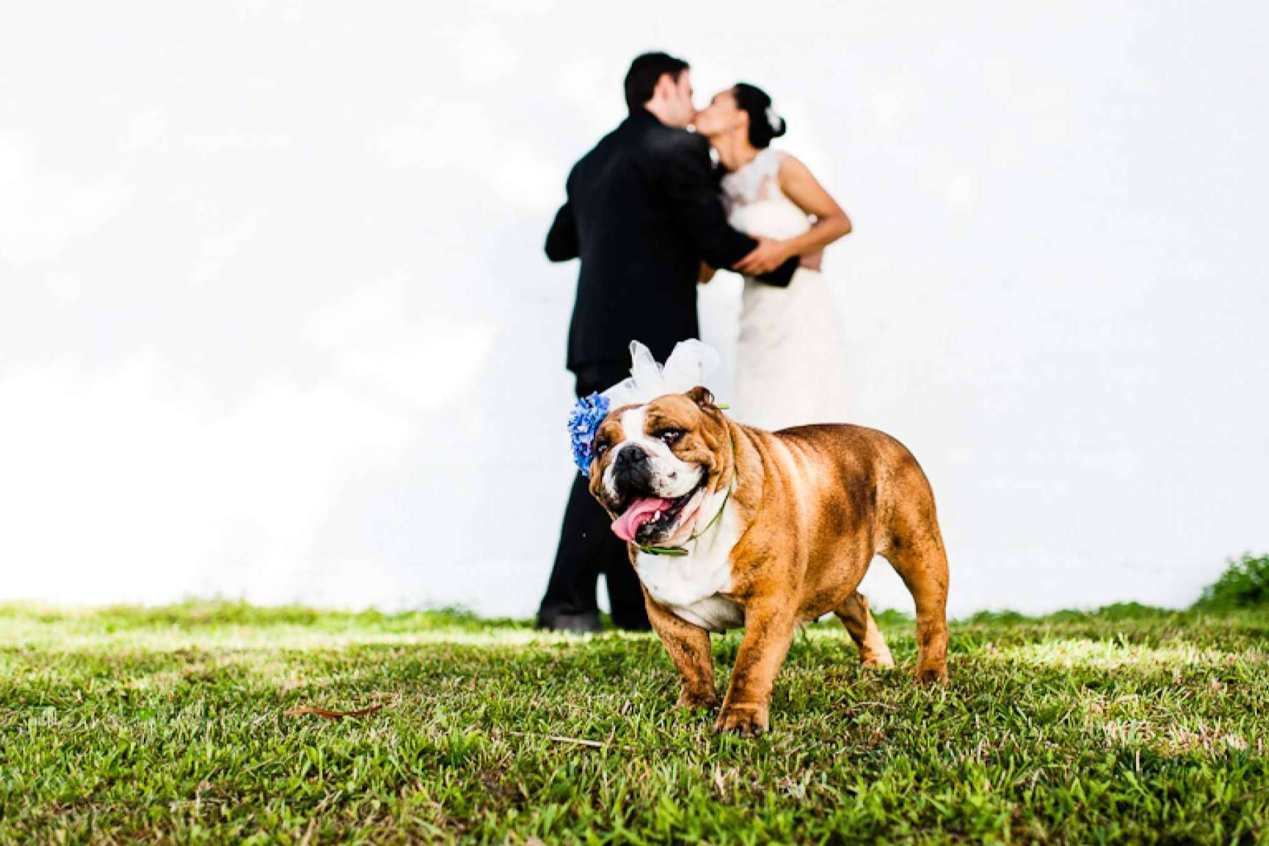 Fotos de boda originales y diferentes para dar un toque personal