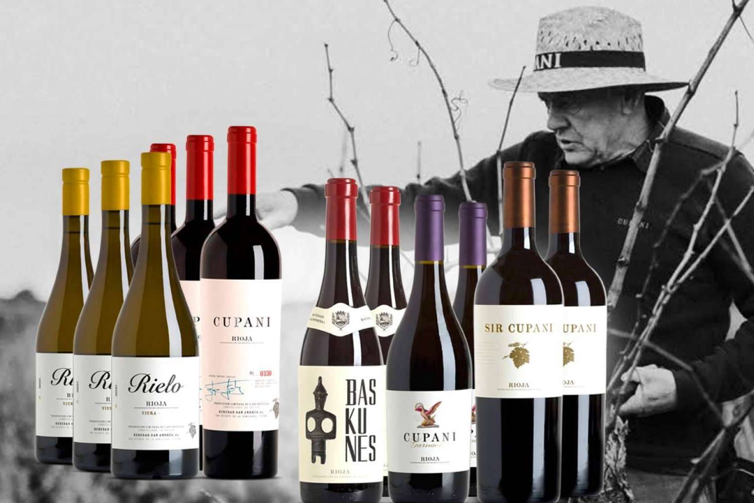 Selección de 12 botellas de Cupani, viticultor del año 2022 por el prestigioso Master of Wine Tim Atkin