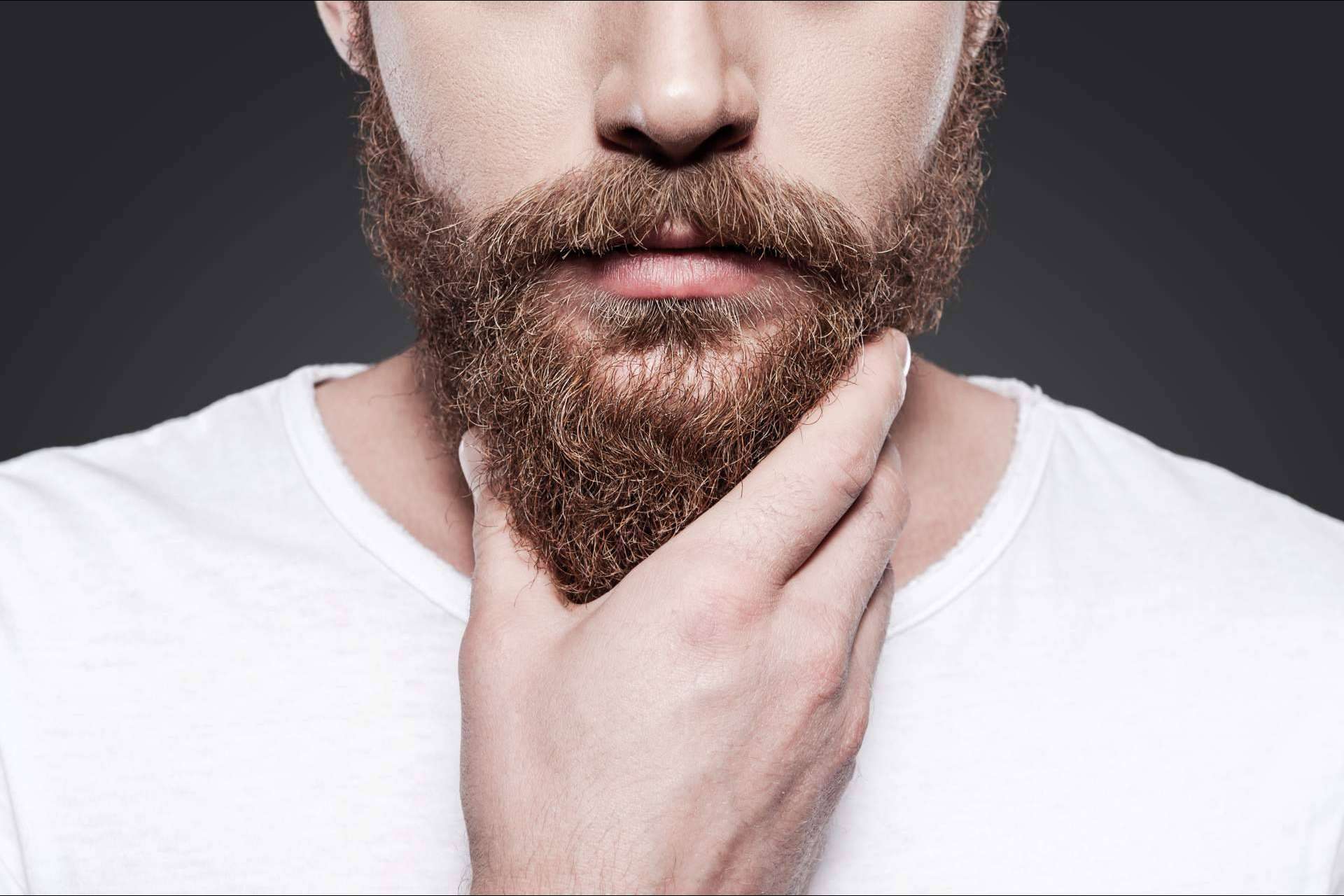 Body Hair, injerto capilar desde otras zonas del cuerpo para alopecia avanzada