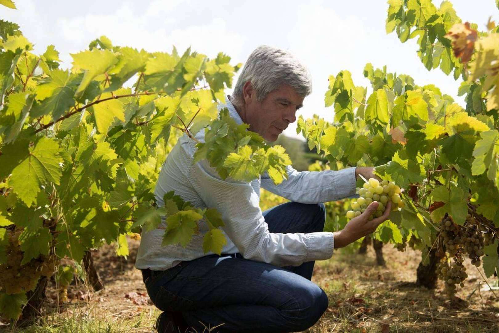 Vino Pedro Ximénez ecológico, una elaboración única en el sector vinícola a cargo de Bodegas Robles