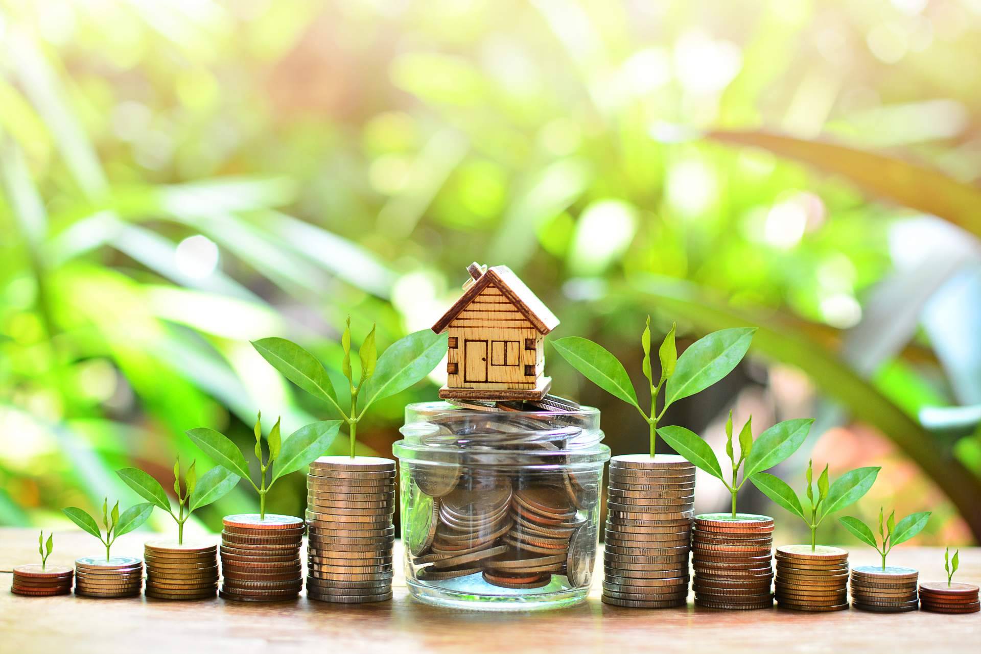Inversión inmobiliaria con criptomonedas, de la mano de Francisco José Suárez Díaz