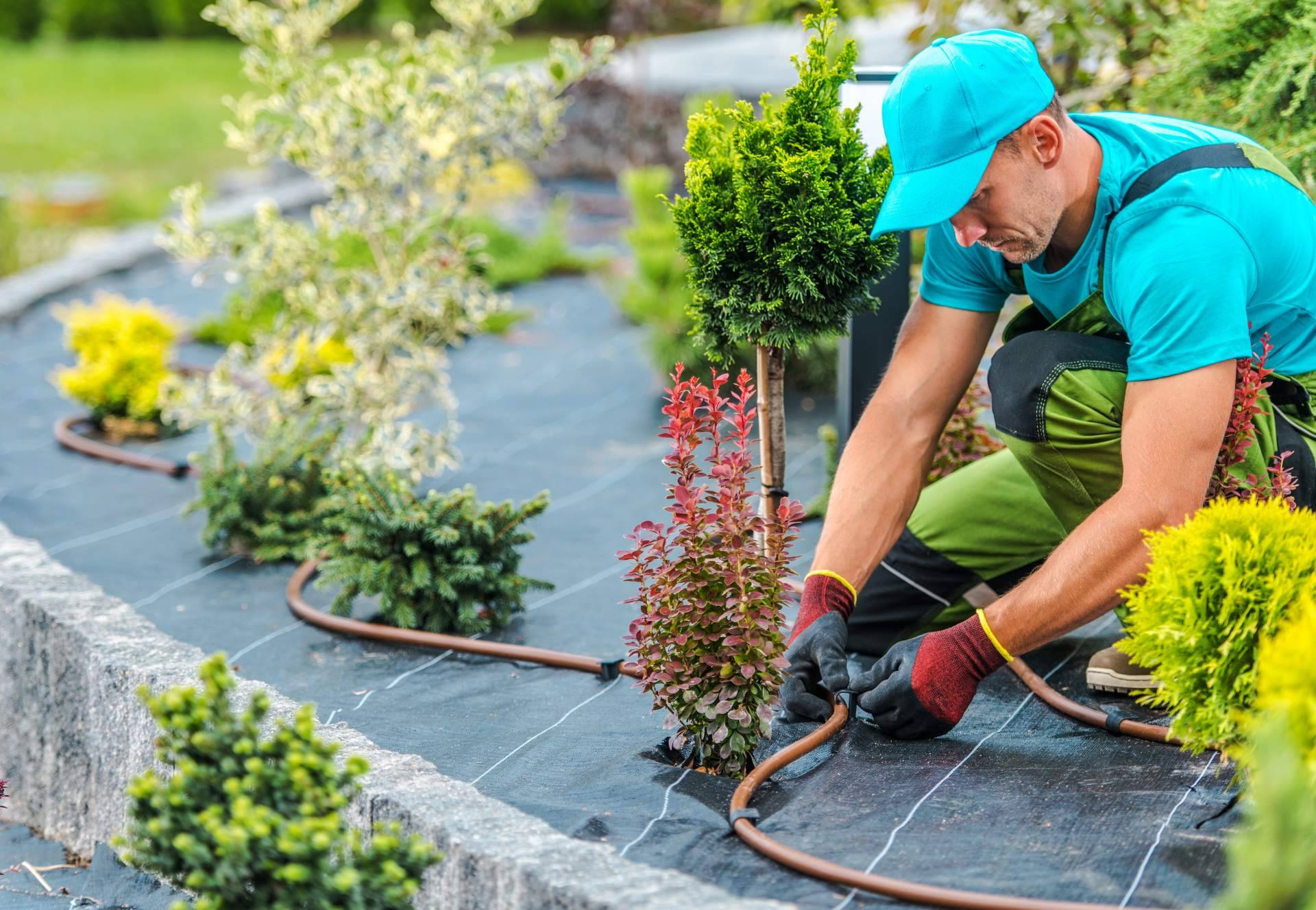 Artículos imprescindibles de jardinería, de la mano de Suministros Tomás Beltrán