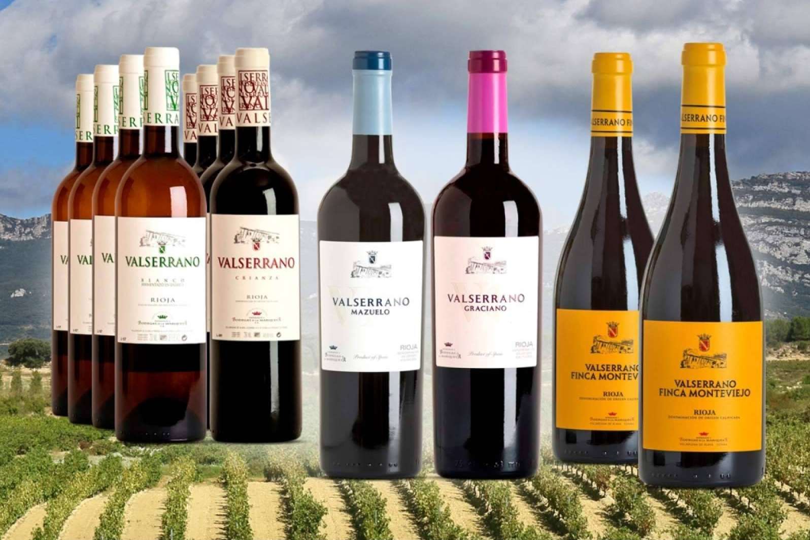 Vinos selección Valserrano para los paladares más exigentes, en ILOVEWINE