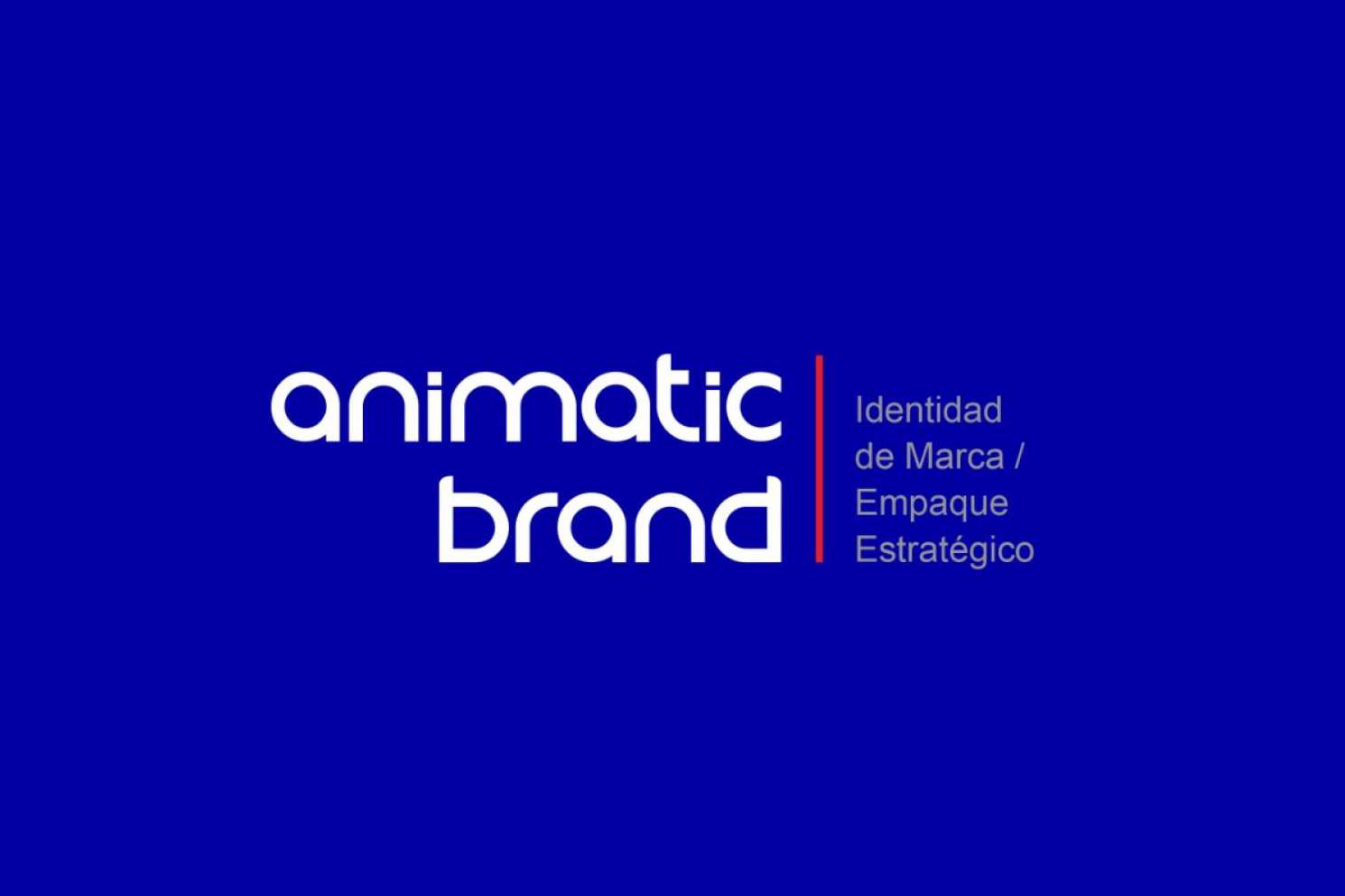 Animatic Brand & ICB Consulting para la expansión comercial internacional en España