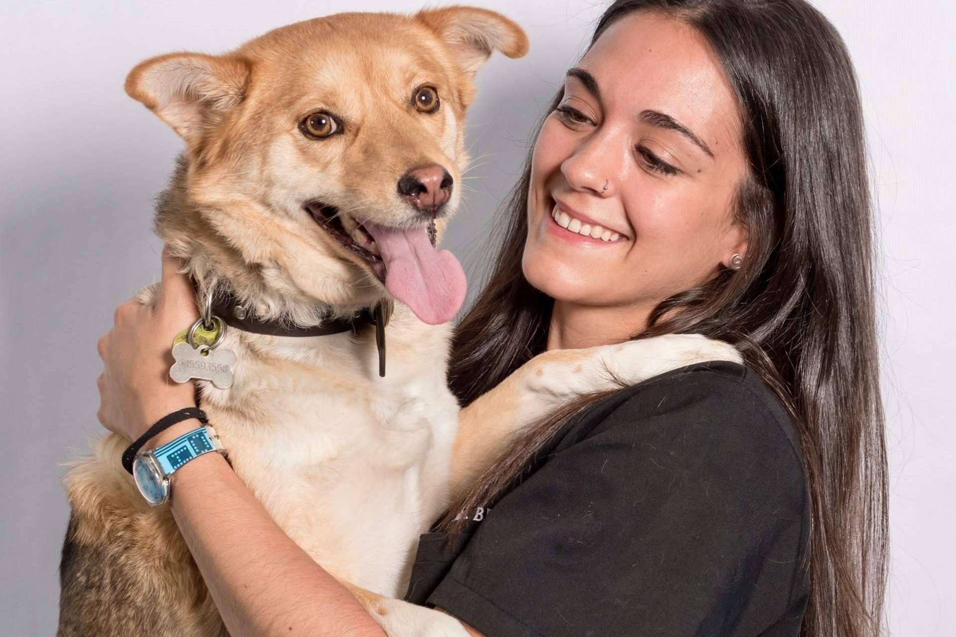 ¿Qué hacer cuando un animal tiene un golpe de calor?