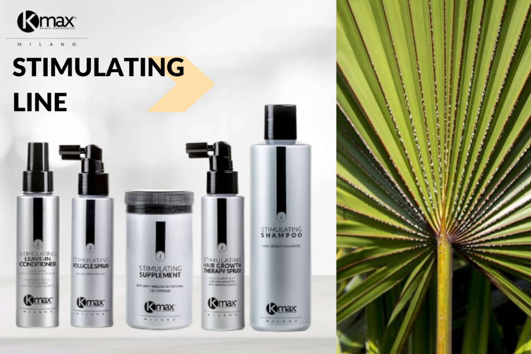 Los productos anticaída de Kmax incorporan Serenoa repens