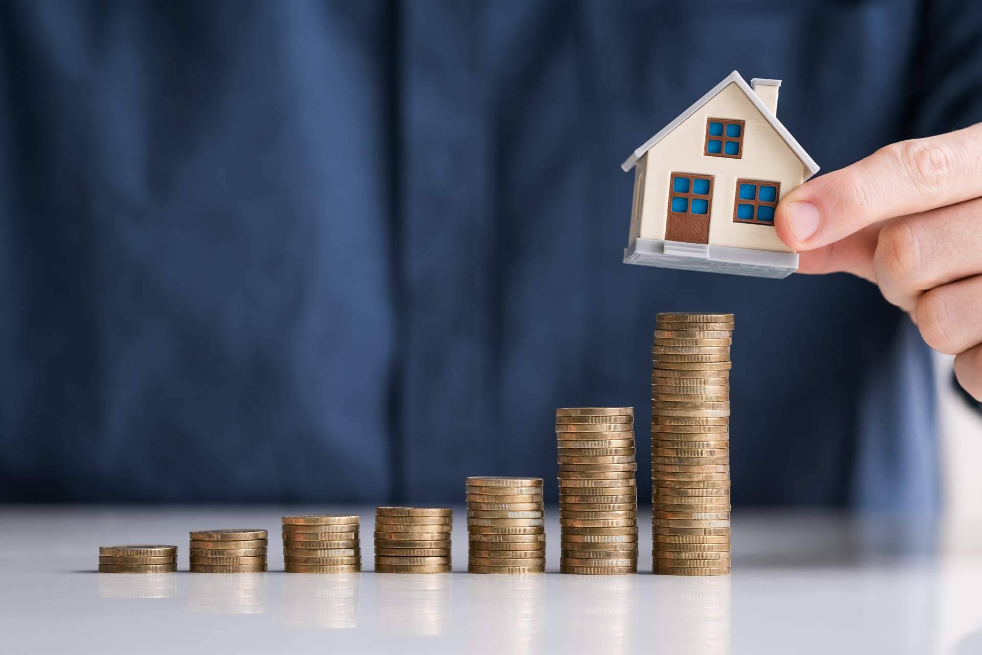 El crecimiento de Dámelo Dámelo en el mercado inmobiliario