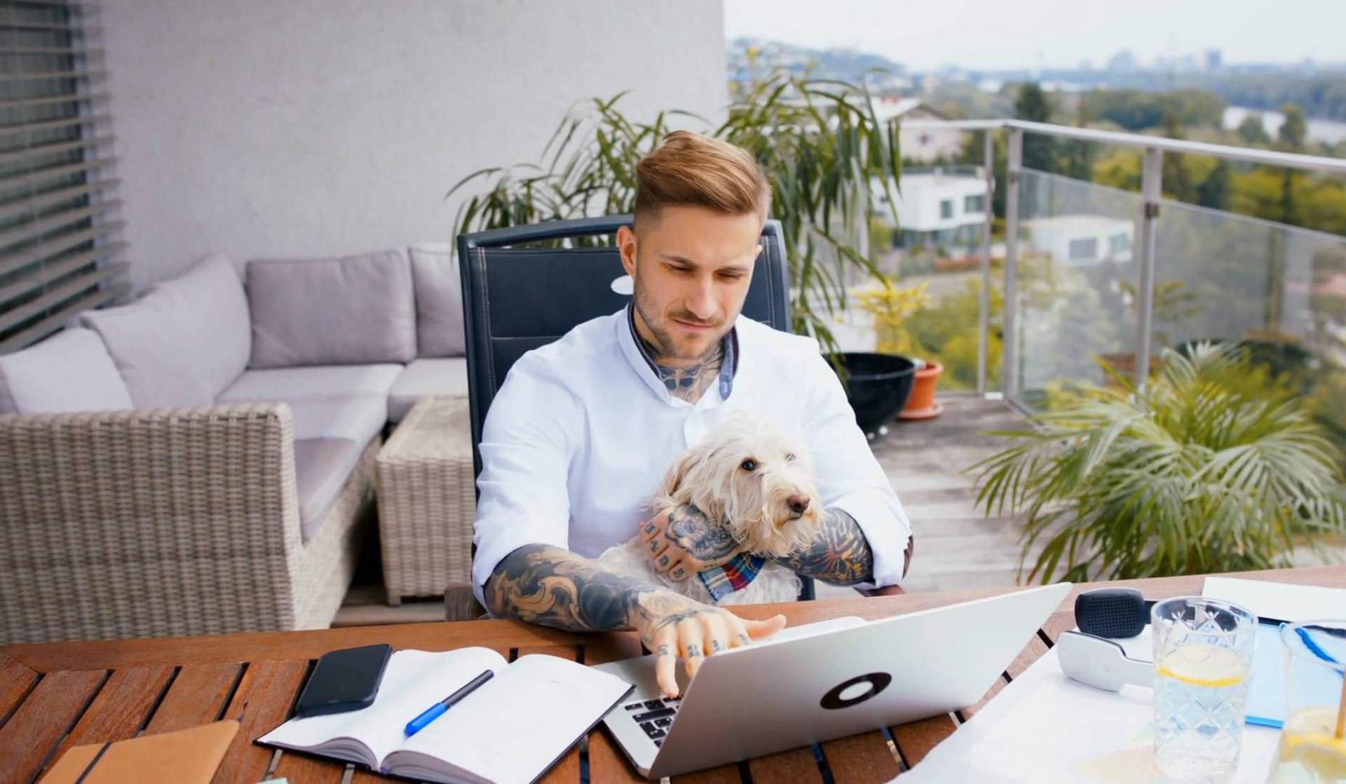 ‘Buscamos una agencia de marketing completa y con experiencia, y la encontramos’, afirman en Wolves Legacy