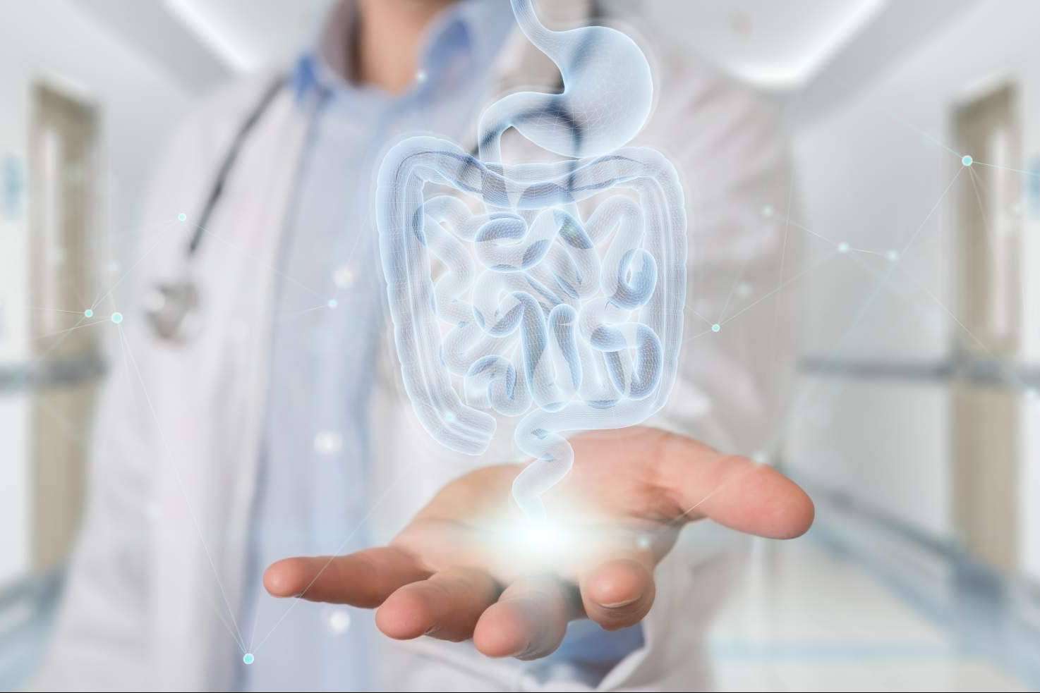La microbiota, el segundo cerebro