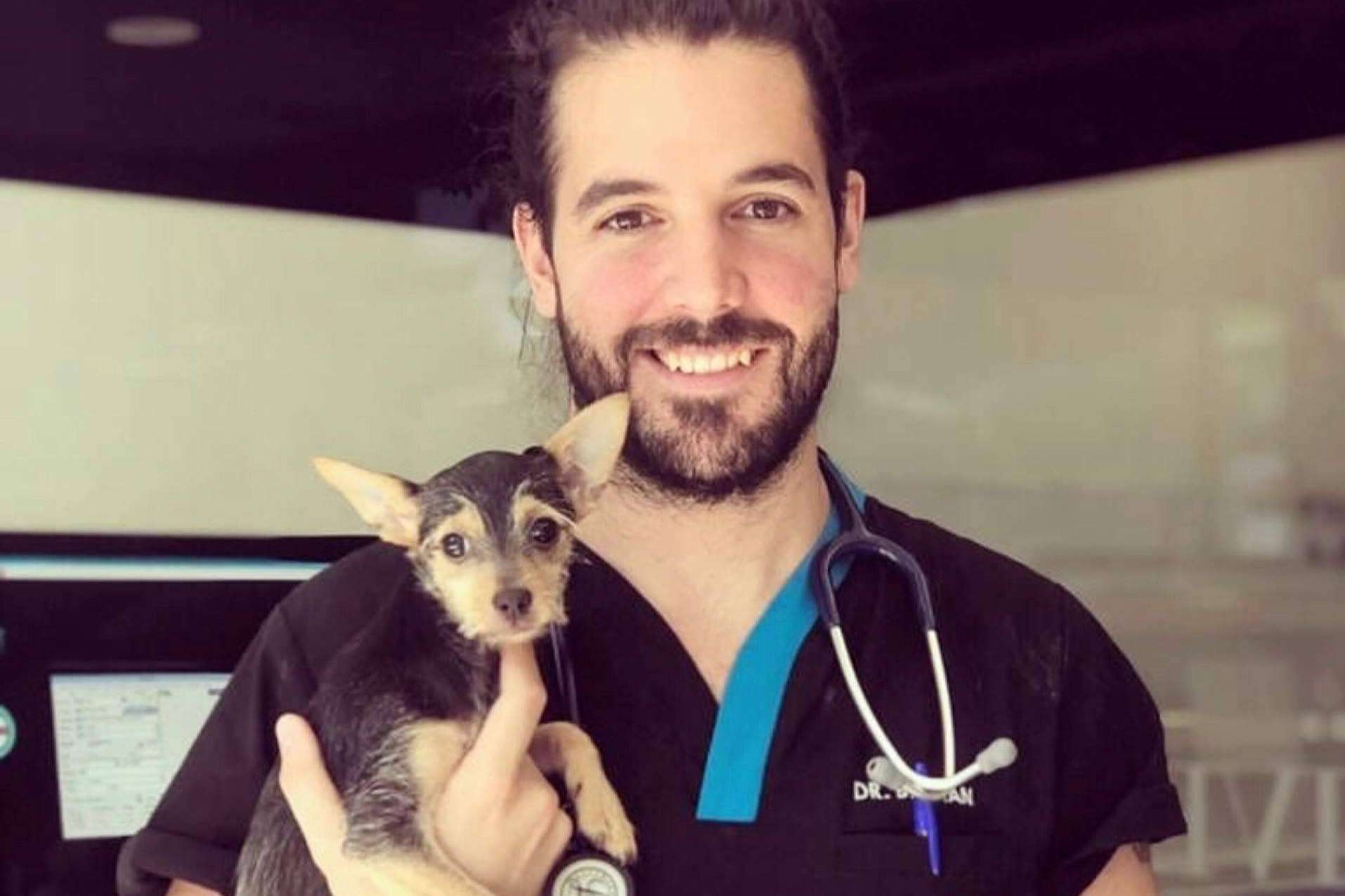 La importancia de la esterilización animal, con el Hospital Veterinario El Bosque