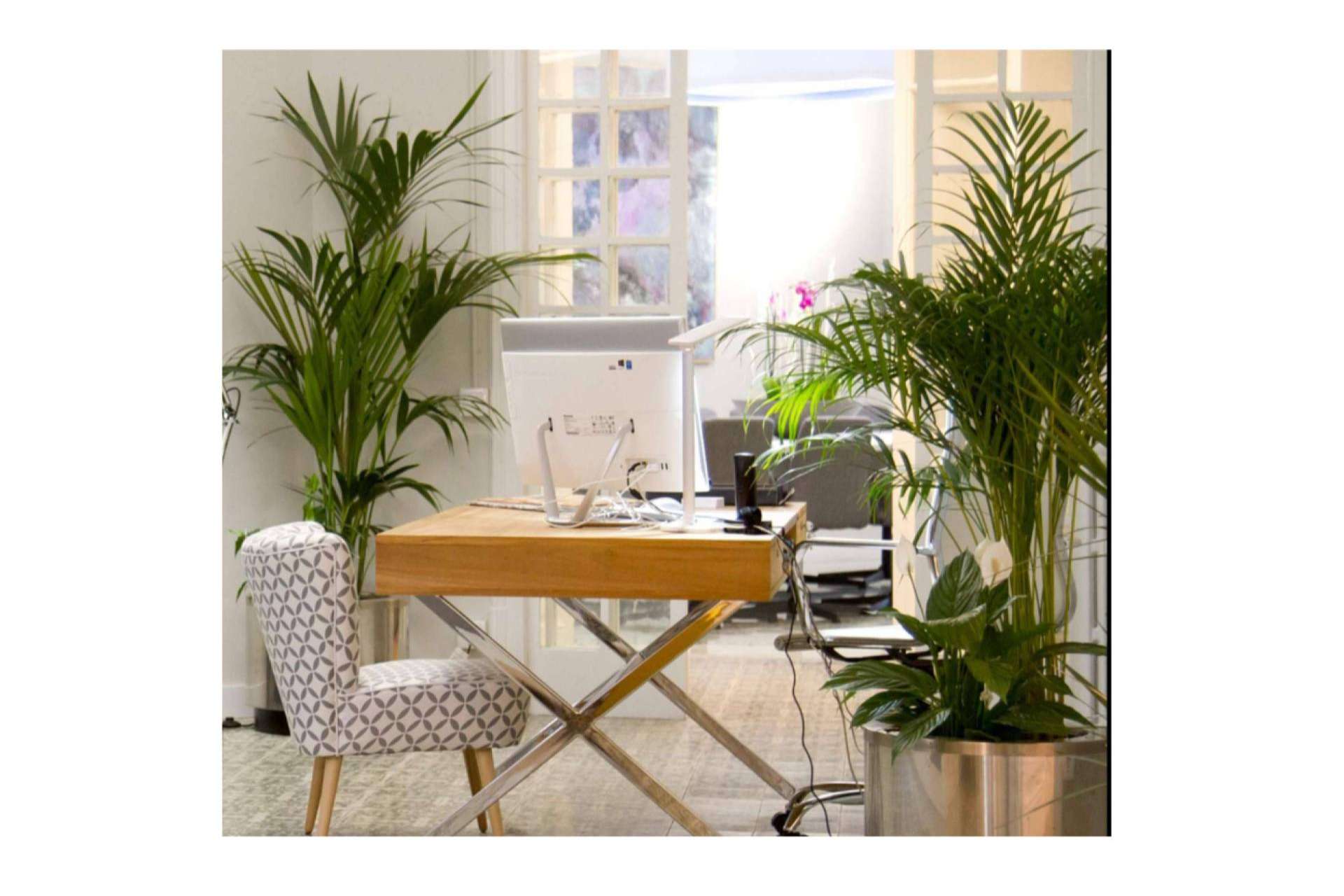 Espacios de coworking cómodos y económicos con WEKOW
