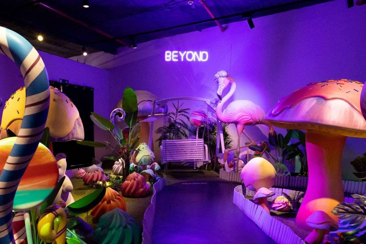 Salas temáticas con exposiciones de diferentes artistas