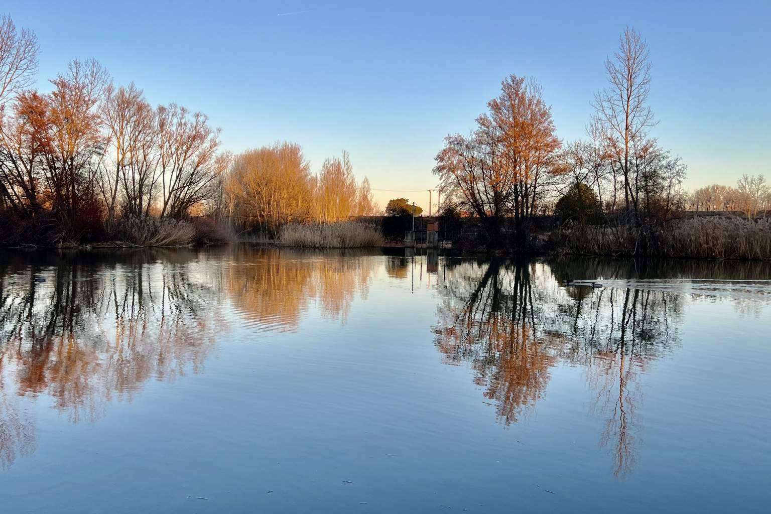 Viajes en familia y espacios de diseño en la Ribera del Duero, por La Ren Lecres