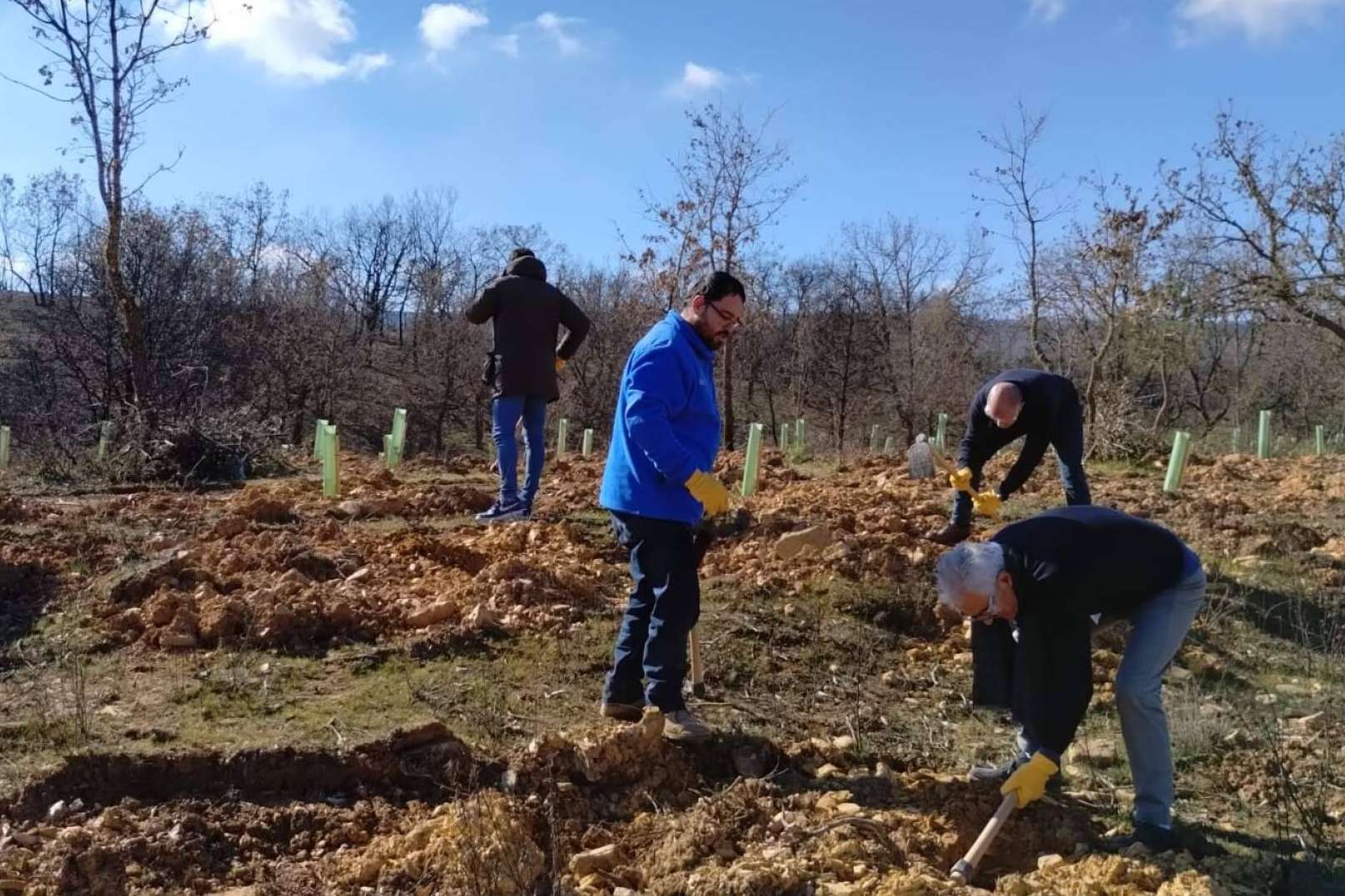 Zamora recupera sus bosques quemados gracias a FOXY (ICT Ibérica), la Fundación Alcoraz y CO2 GESTIÓN