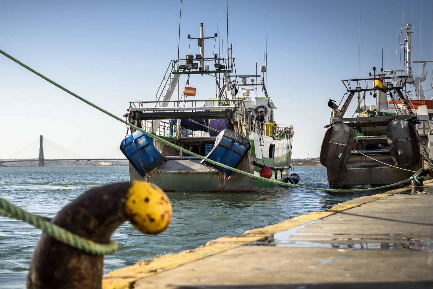 Lonja de Ayamonte se dedica a la venta de pescados y mariscos frescos