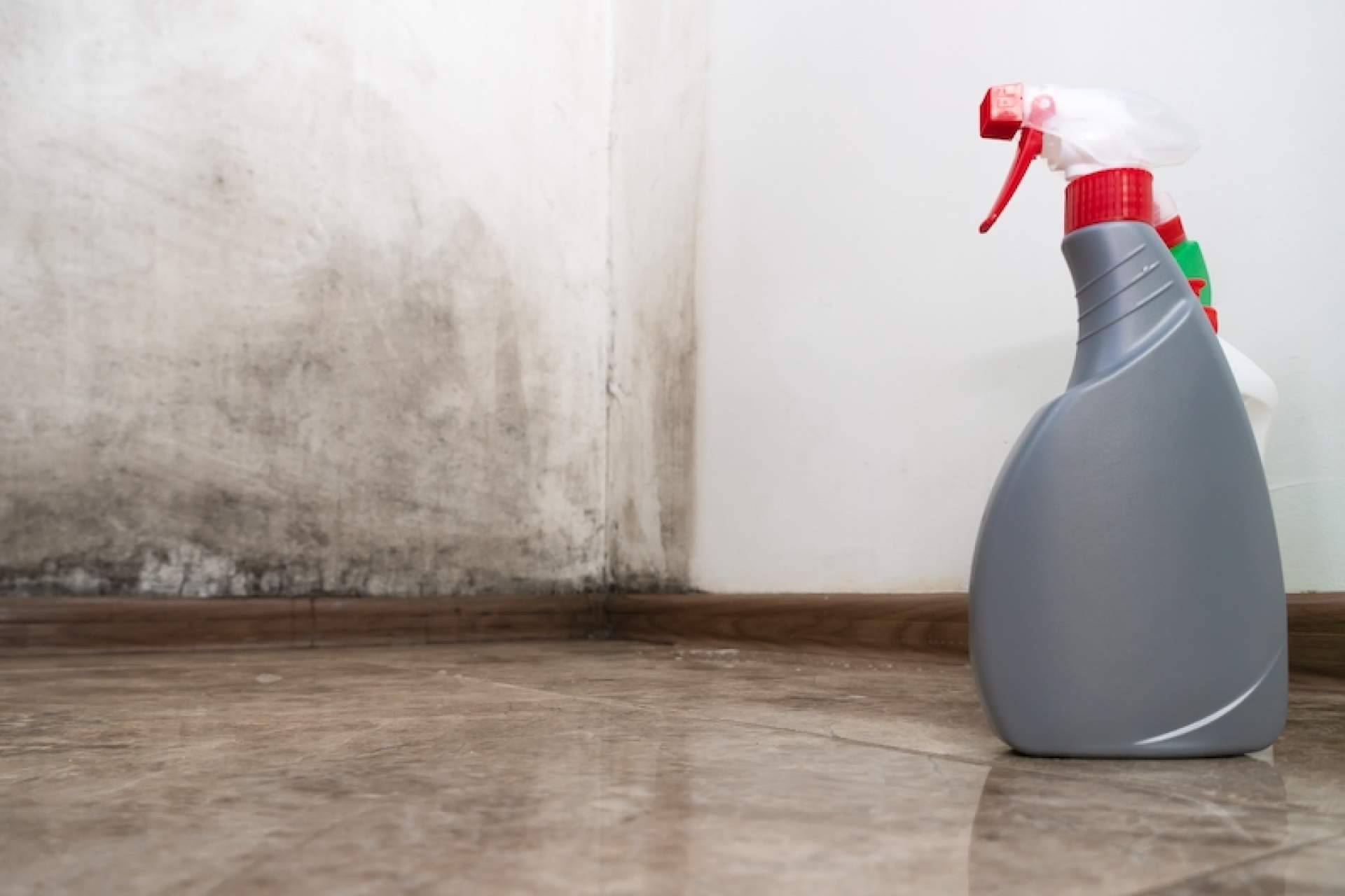 Los beneficios que ofrecen los productos antihumedad Humydry