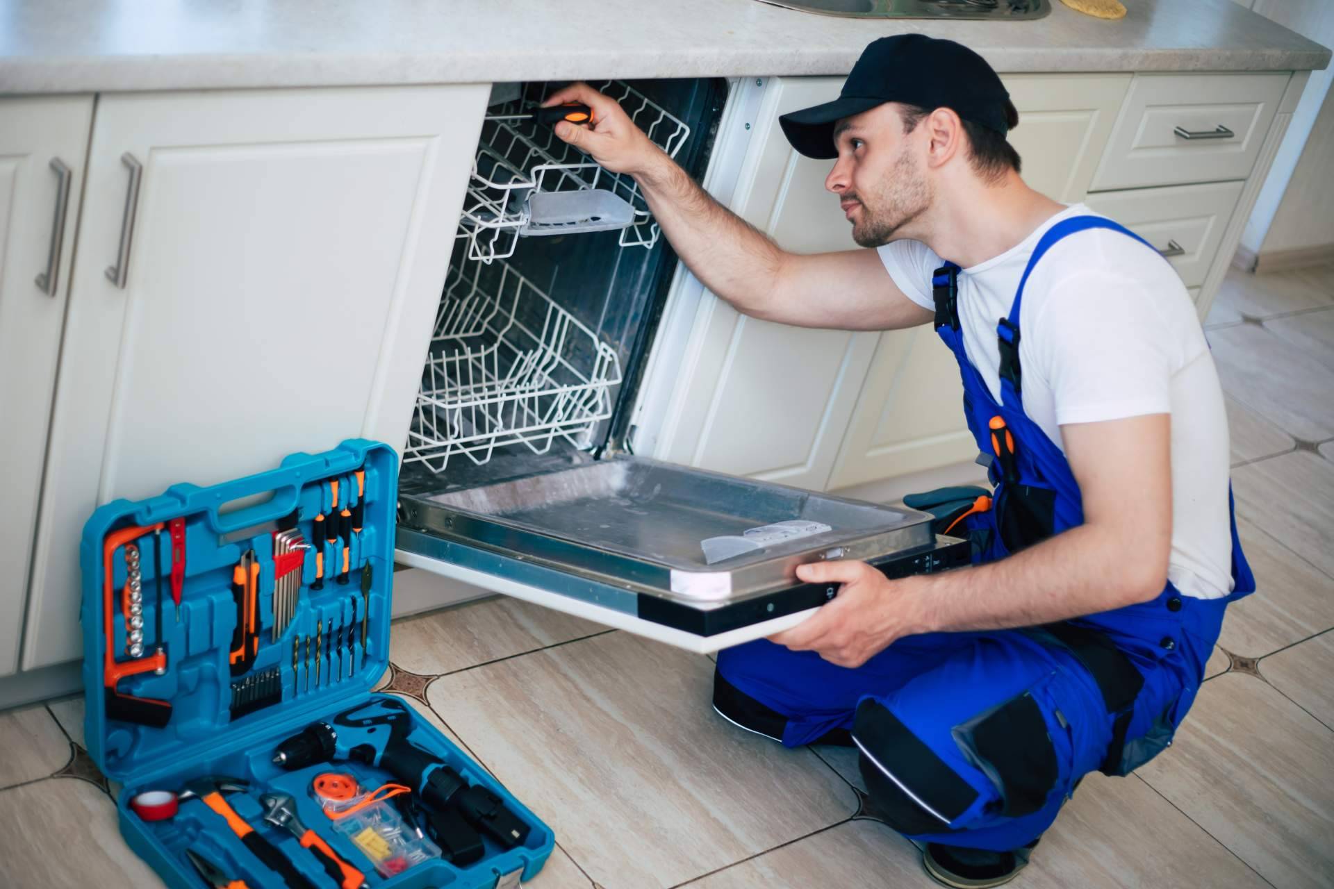 ¿Dónde reparar en Cádiz un lavavajillas AEG con averías?