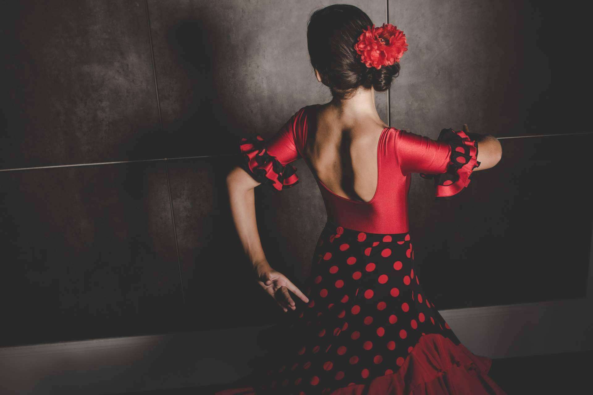 Las flores flamencas ideales para lucir en la feria de Málaga