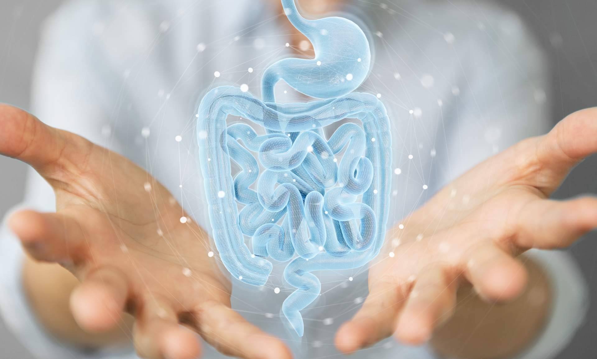 COEUS Retroaging, una compañía especializada en el tratamiento microbiota