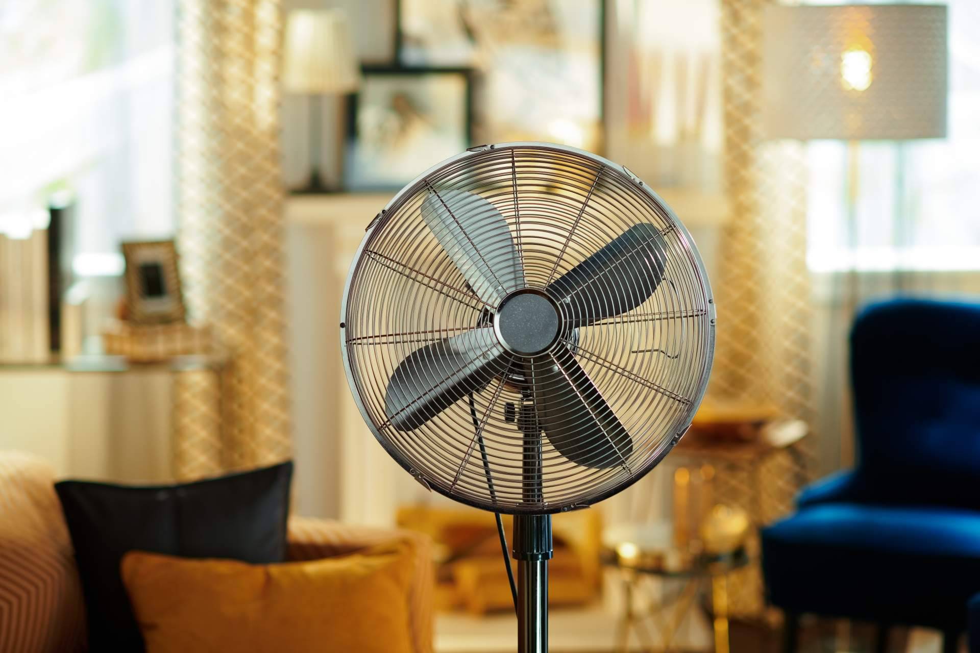 Suministros Tomás Beltrán, el espacio donde encontrar un amplio catálogo de ventiladores, repuestos y artículos para su reparación y mantenimiento