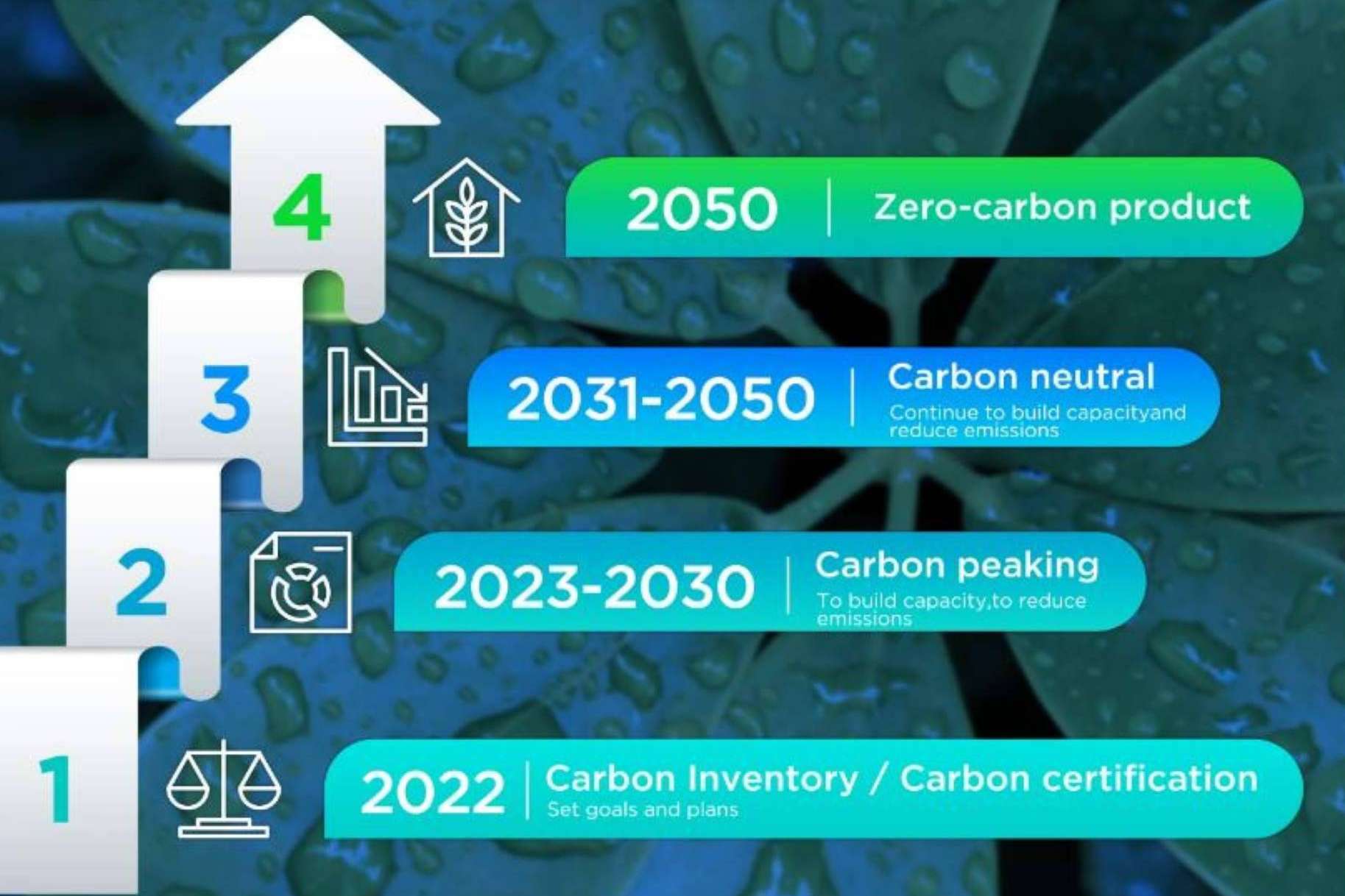 TCL anuncia sus compromisos en materia de sostenibilidad durante la Conferencia Mundial de Socios del Ecosistema TCL 2023