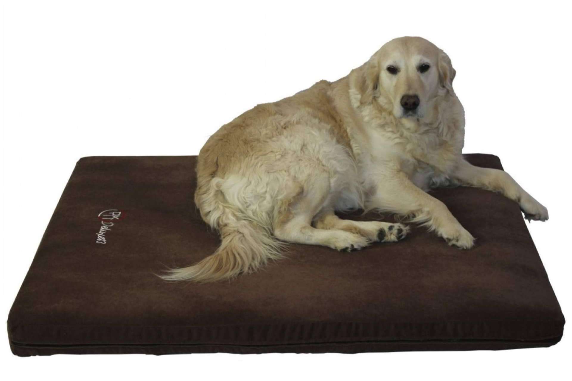 Deluxe13 y sus camas para perros