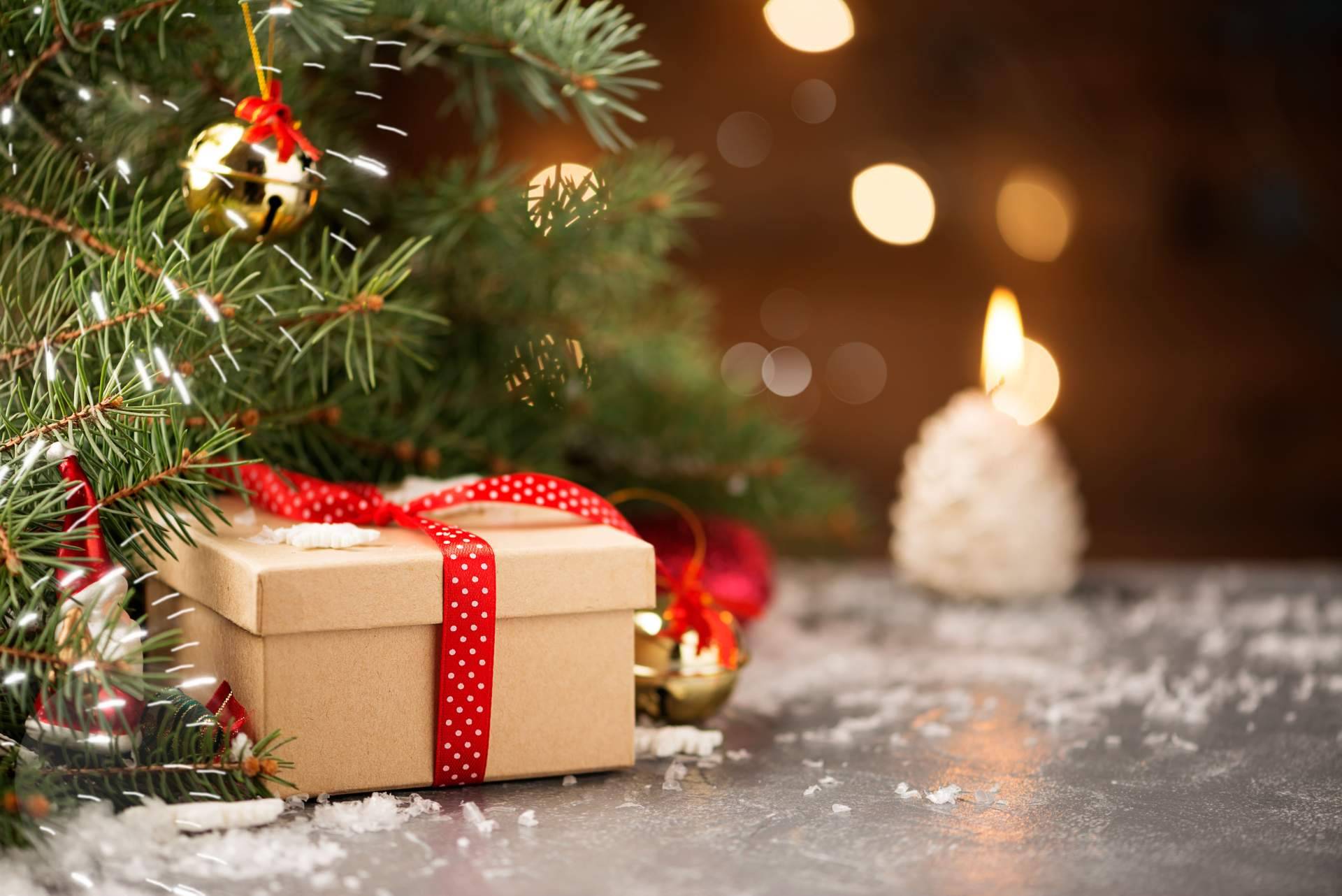 Navet, el servicio de entrega a domicilio de abetos para Navidad