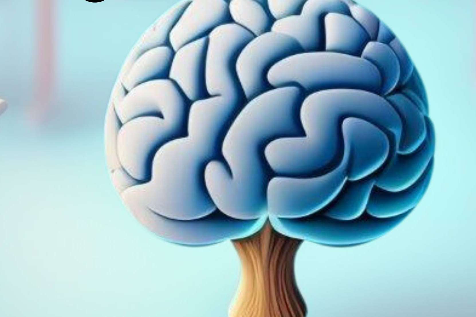 El II Congreso Internacional de Neuropedagogía se realizará en diciembre, en Jaén