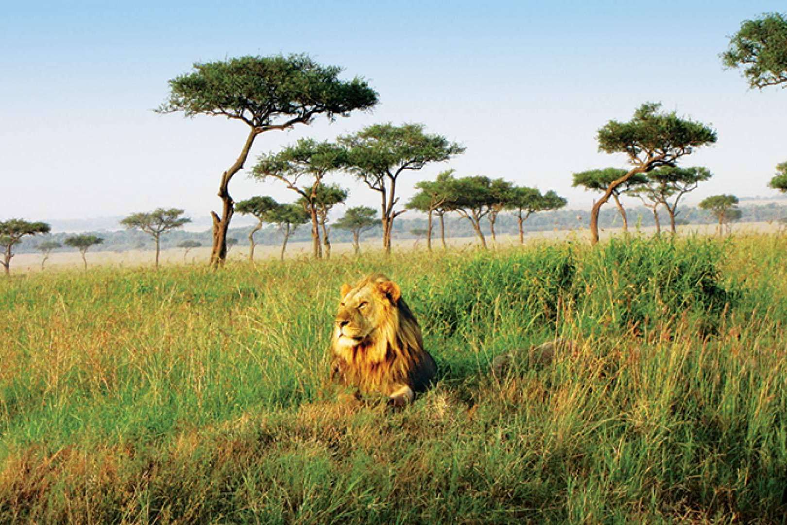 Gran viaje por África desde Barcelona con la naviera de lujo Seabourn
