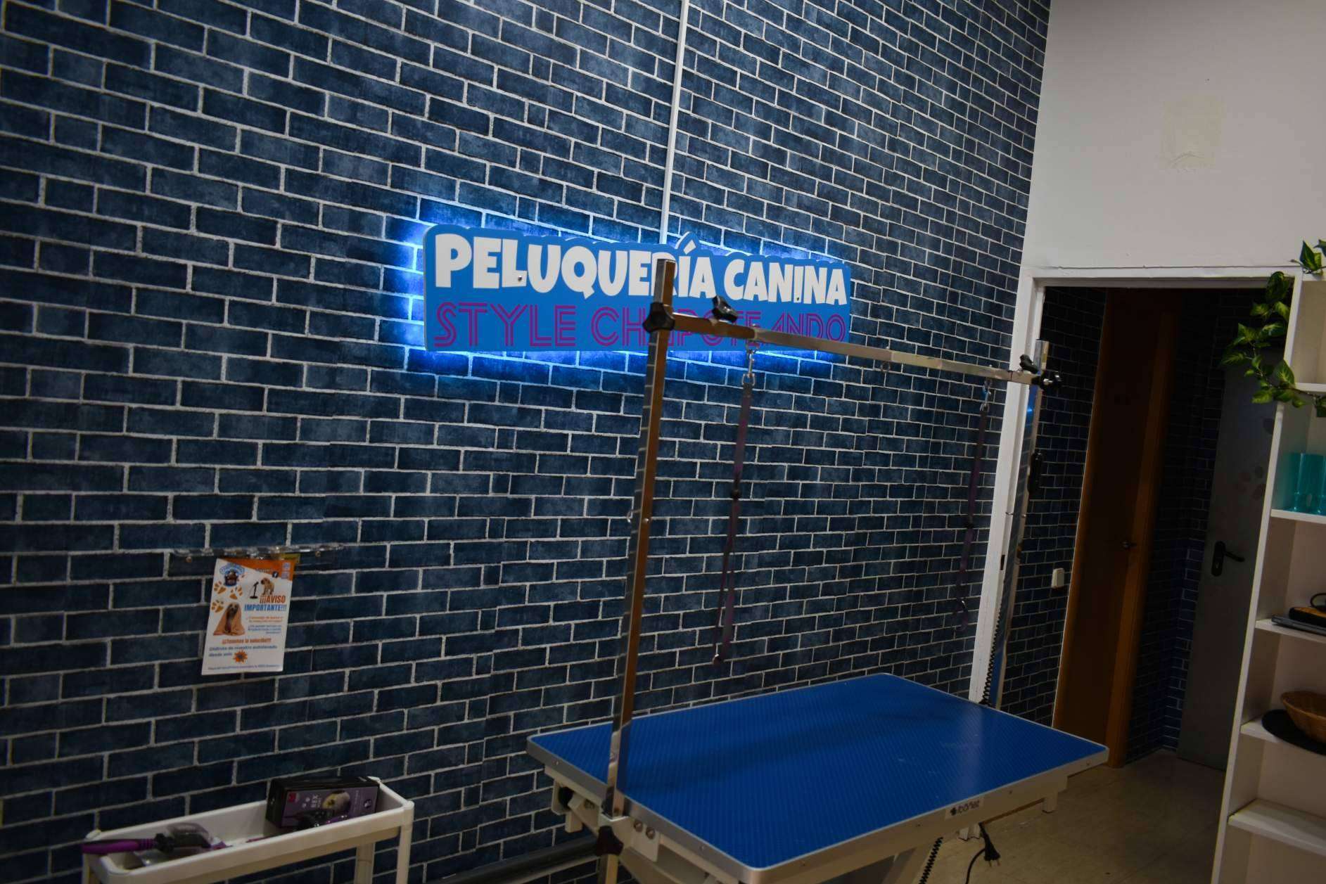 Las ventajas de las franquicias de peluquería canina de Chapoteando