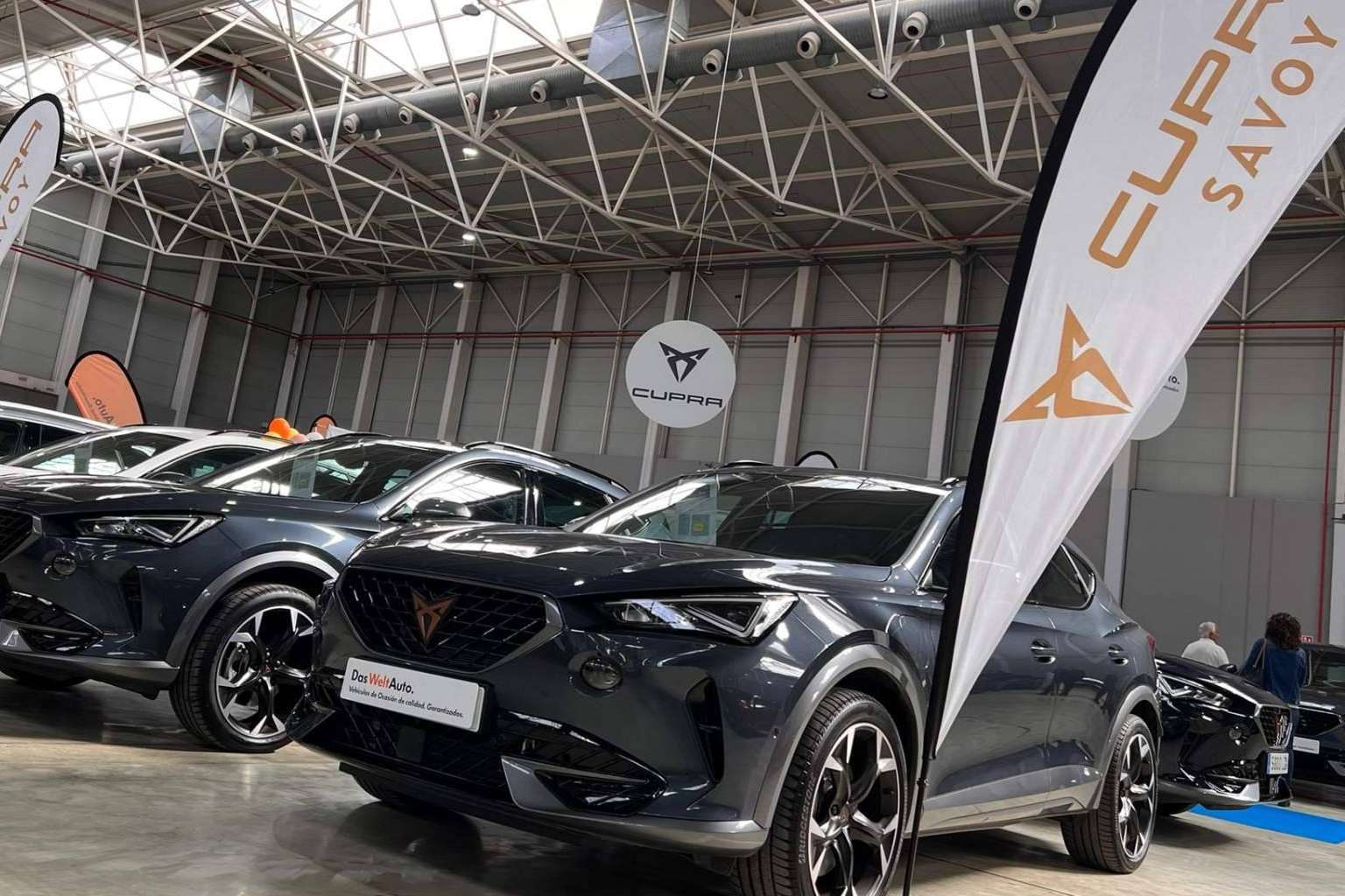 Ventajas de tener un coche del Grupo Ávolo