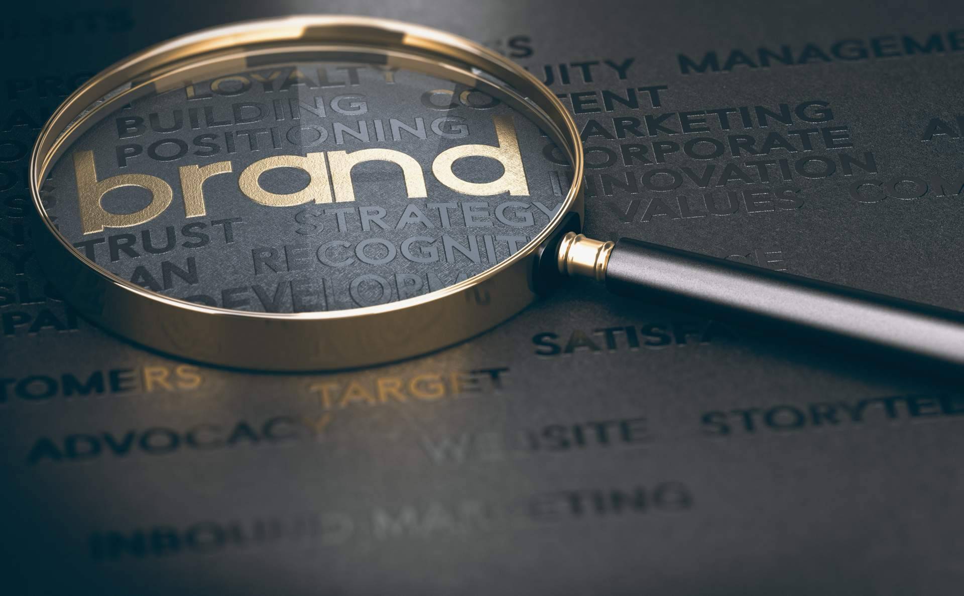 ¿Dónde encontrar especialistas en branding y newsletter? Khumbu