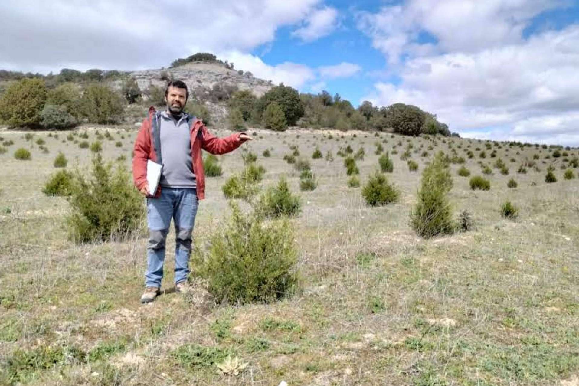 Gran demanda de las ayudas para producciones forestales de alto valor en Castilla y León