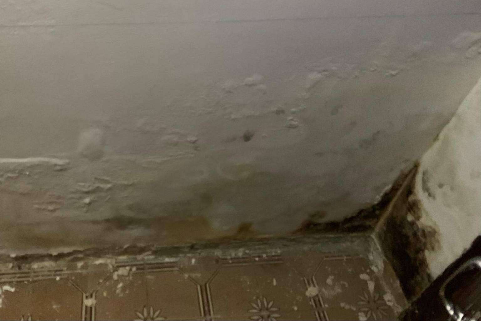 Tratamiento de humedades por capilaridad con Hogar Seco