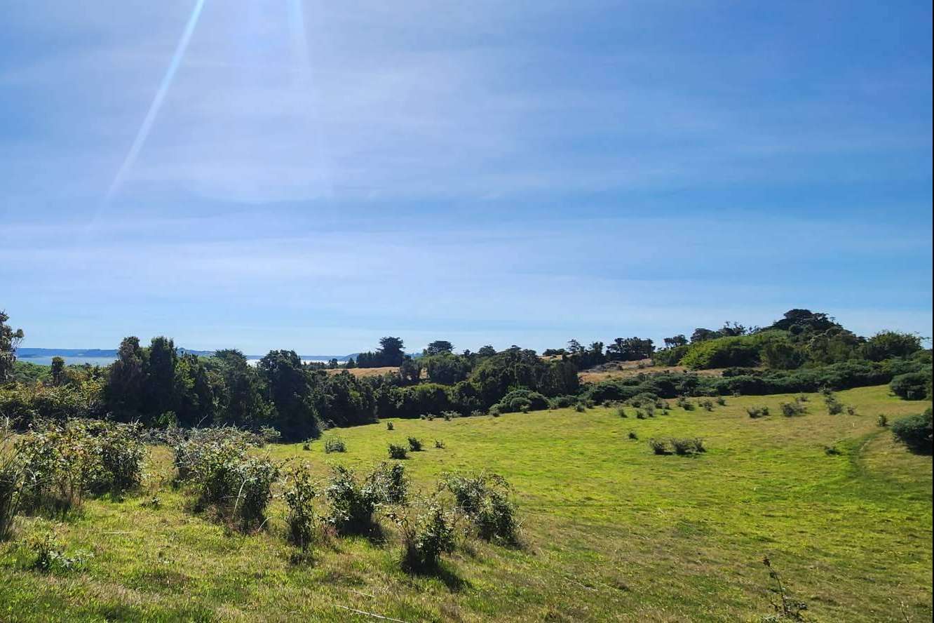 Zonas para comprar una parcela en Chiloé. Desde la costa hasta el interior de la isla