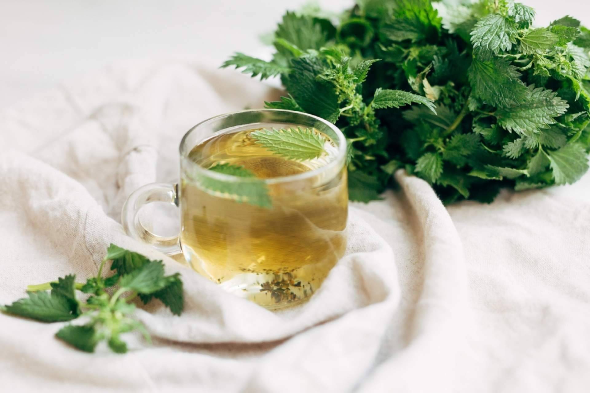WOW, la infusión de ortiga ecológica de Sientea que aporta energía y buenas vibras