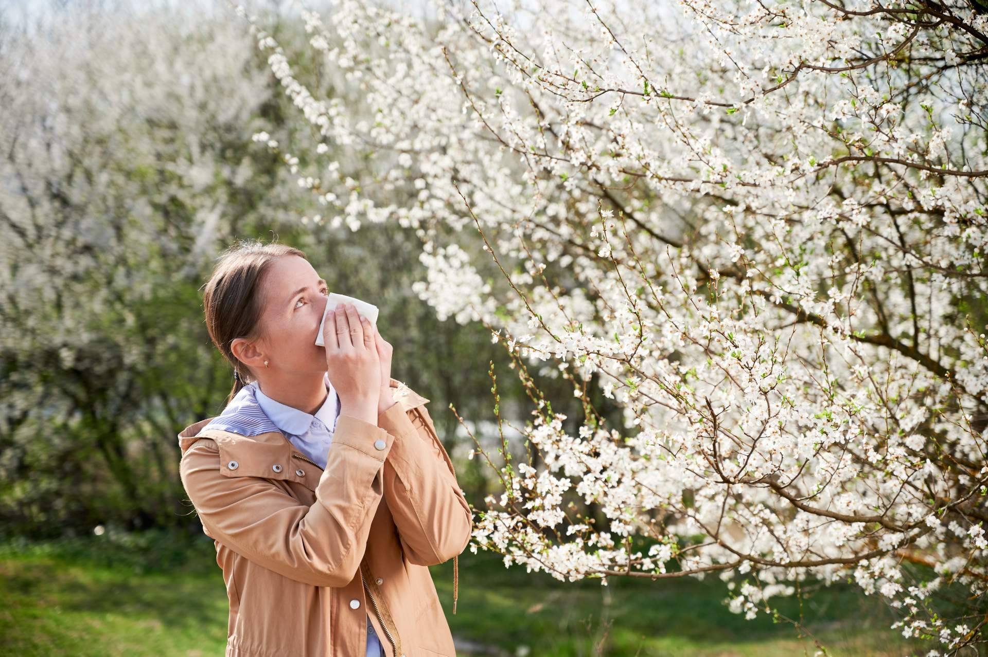 Combatir la alergia al polen esta primavera con los productos Bibefy