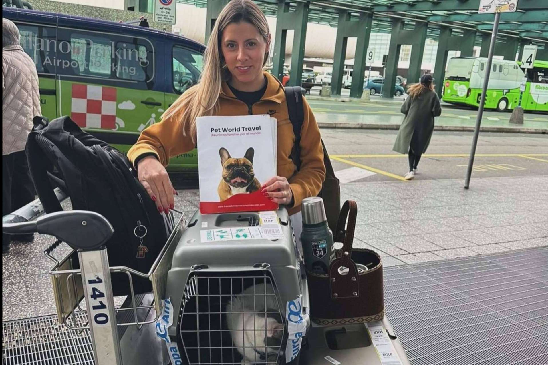 Pet World Travel; todo lo que se necesita para emigrar a otro país con mascotas