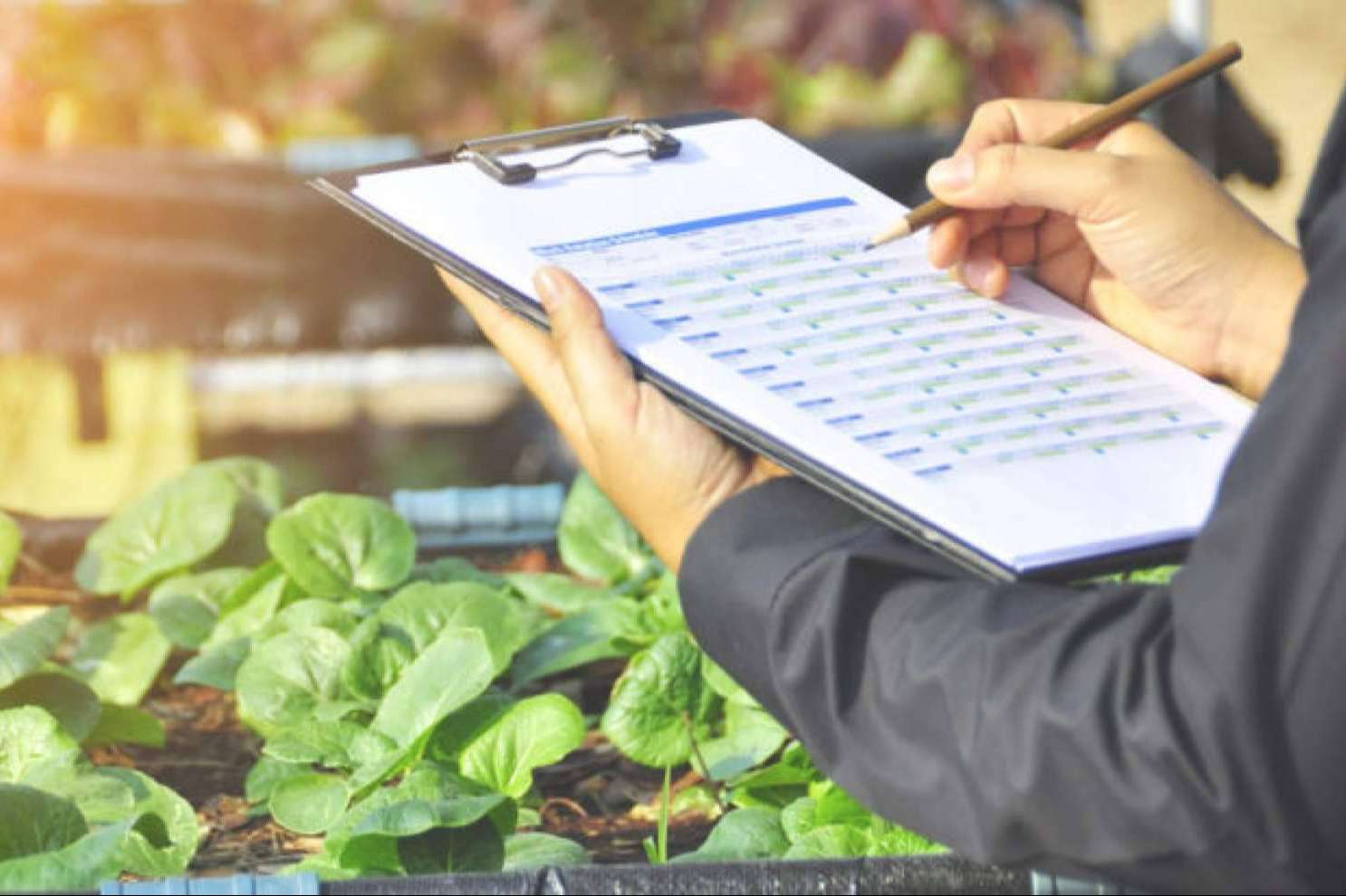 QualitApp, una plataforma de Locatec que simplifica el control de calidad en empresas e industria agroalimentaria