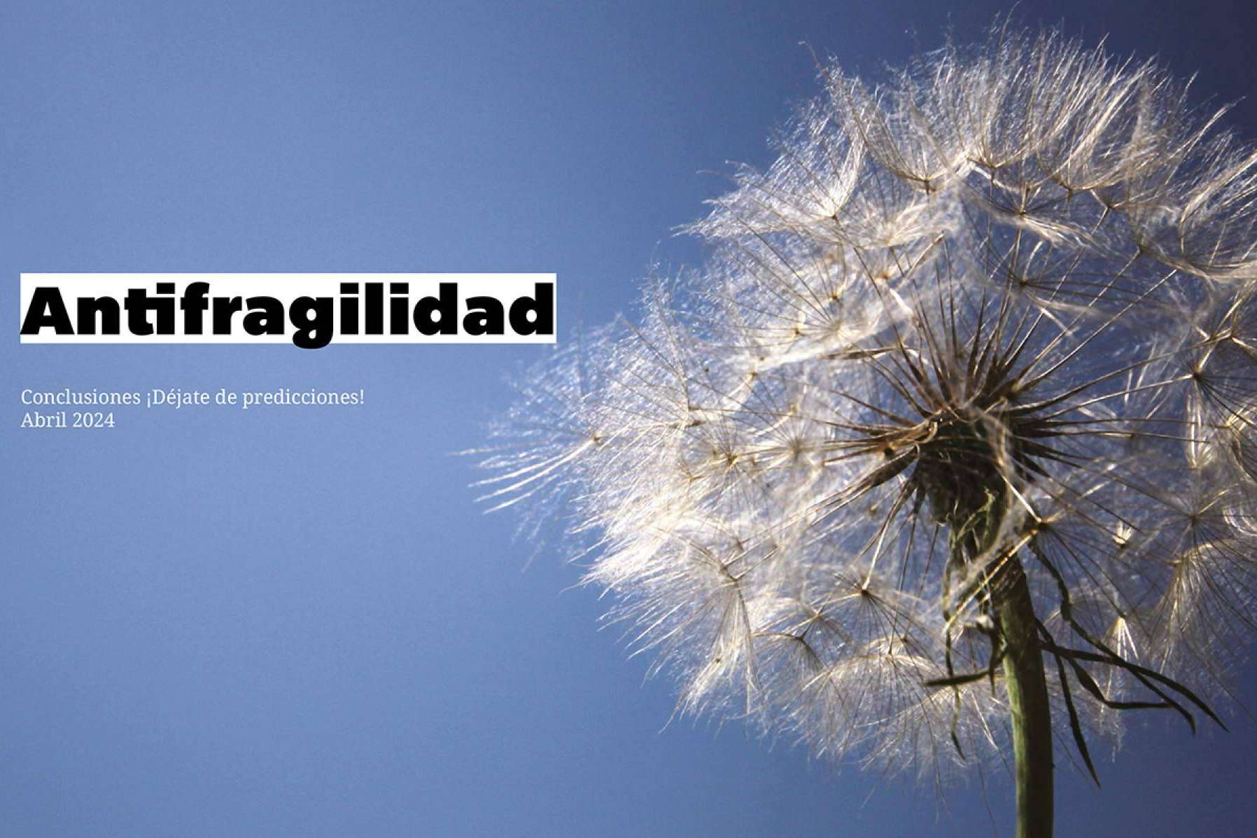 El estudio ‘Déjate de Predicciones 2024’, de Digital Biz Magazine, presenta el concepto de antifragilidad empresarial