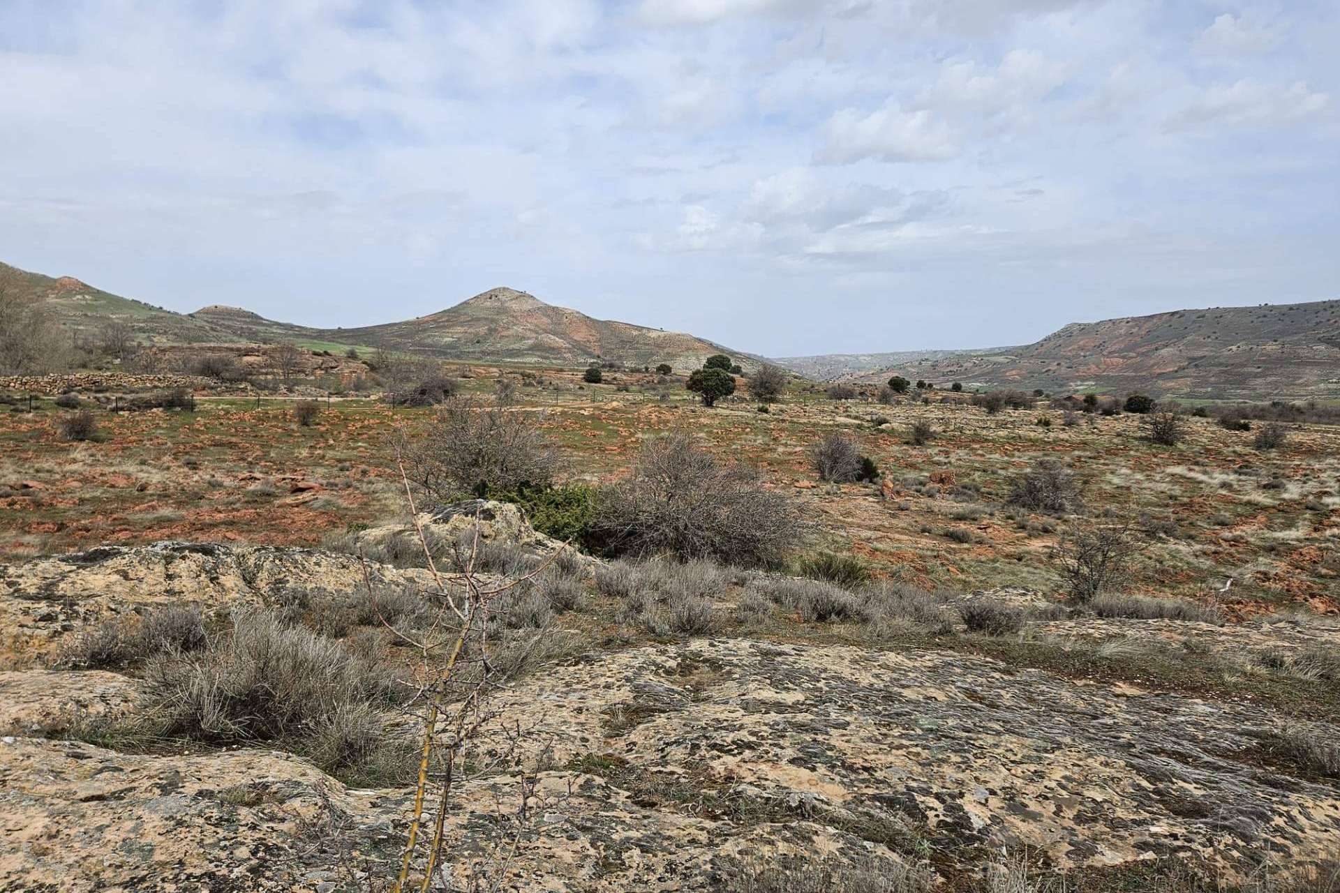 CO2 GESTIÓN planta un bosque con el que IAG7 VIAJES compensará 5.600 toneladas de CO2