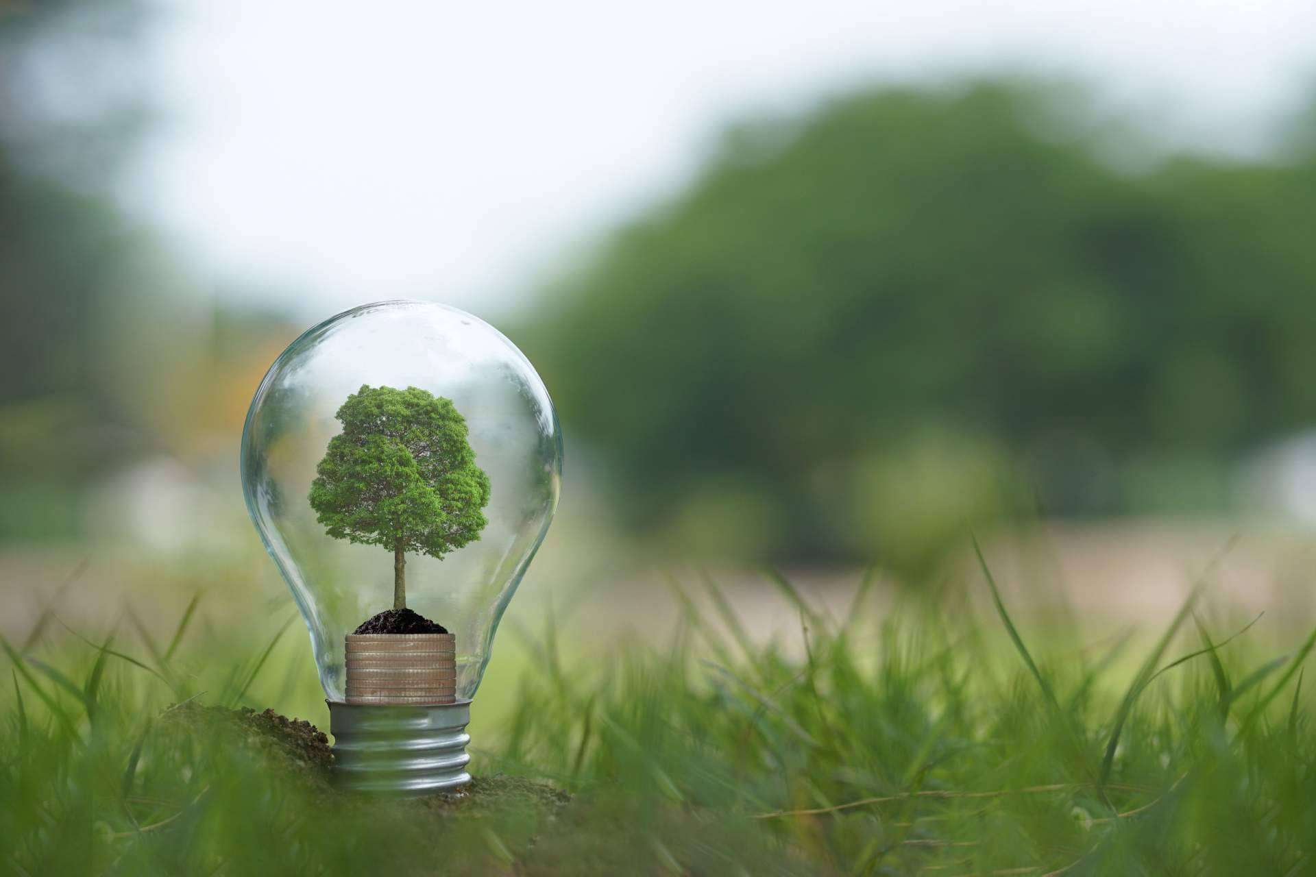 Así funciona el triple sello del MITERD sobre huella de carbono, por CO2 GESTIÓN