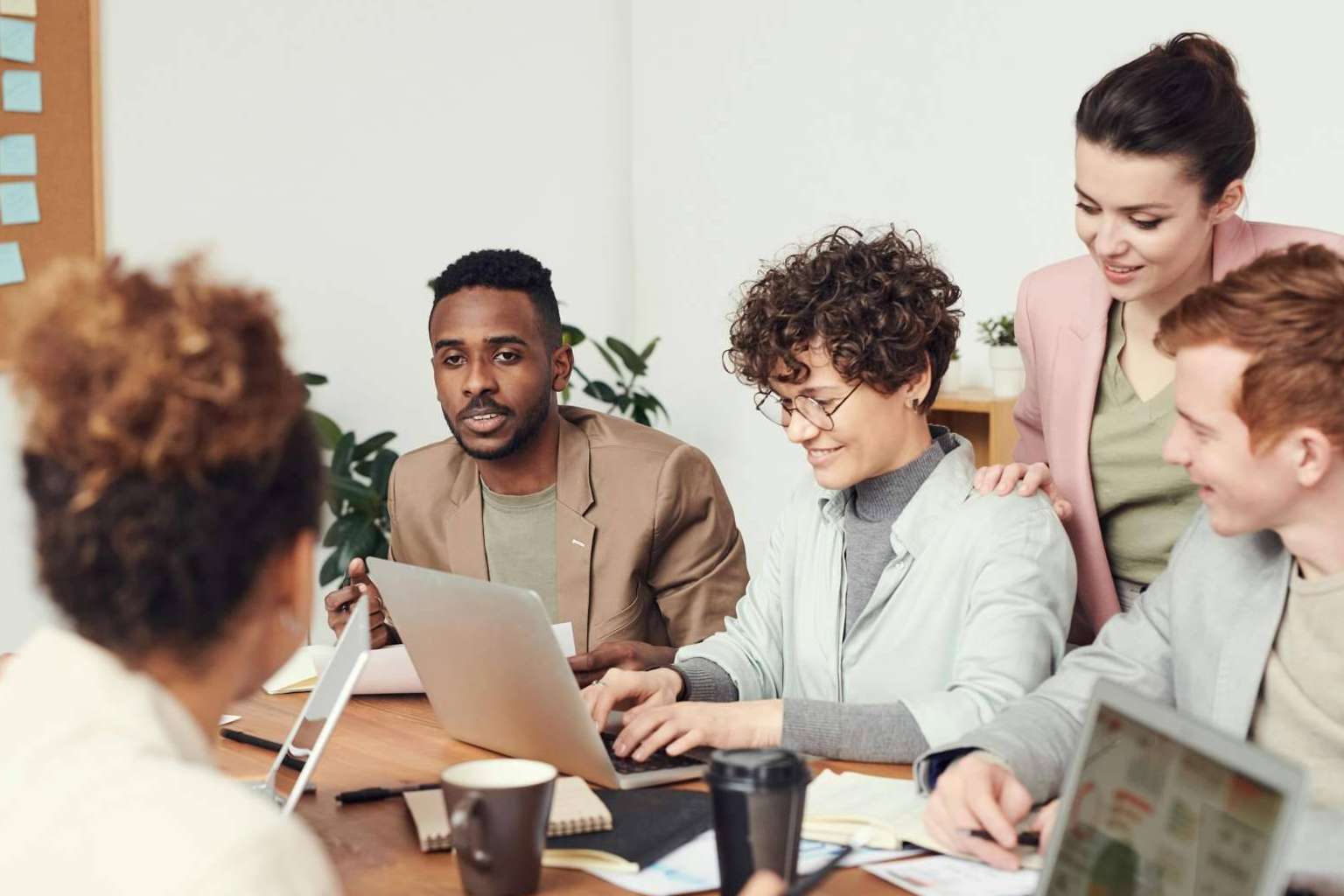Una oportunidad para quienes deseen tener personas en prácticas profesionales en su empresa