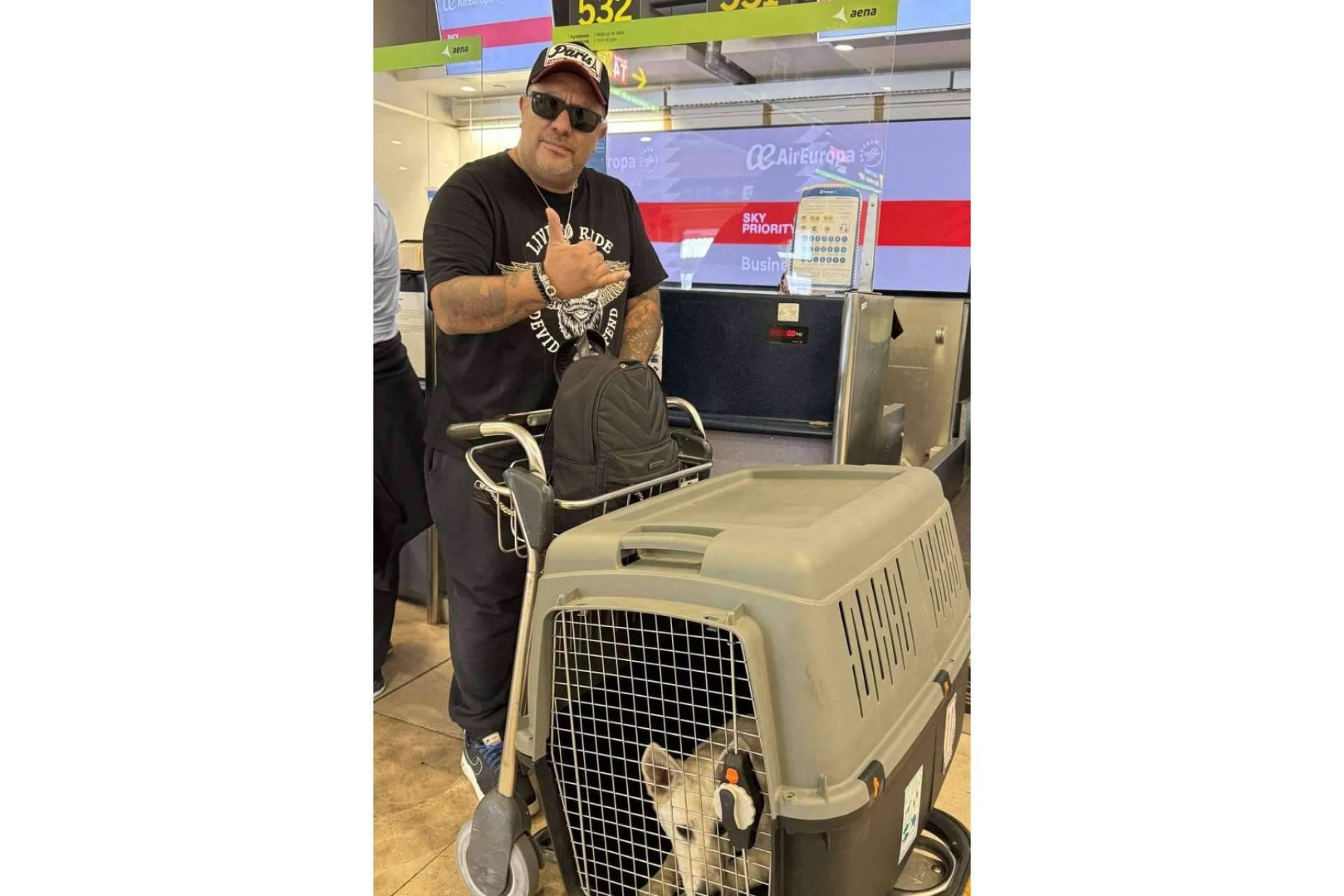 El servicio de transporte de mascotas de Pet World Travel se expande desde Madrid a Medio Oriente y Asia