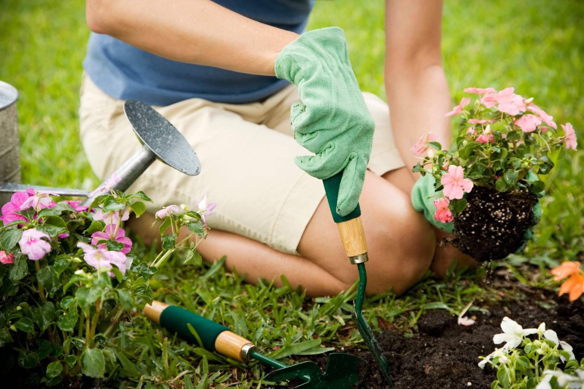 Trébol Garden, un centro de jardinería con todo lo necesario para el diseño y mantenimiento de huertos y jardines