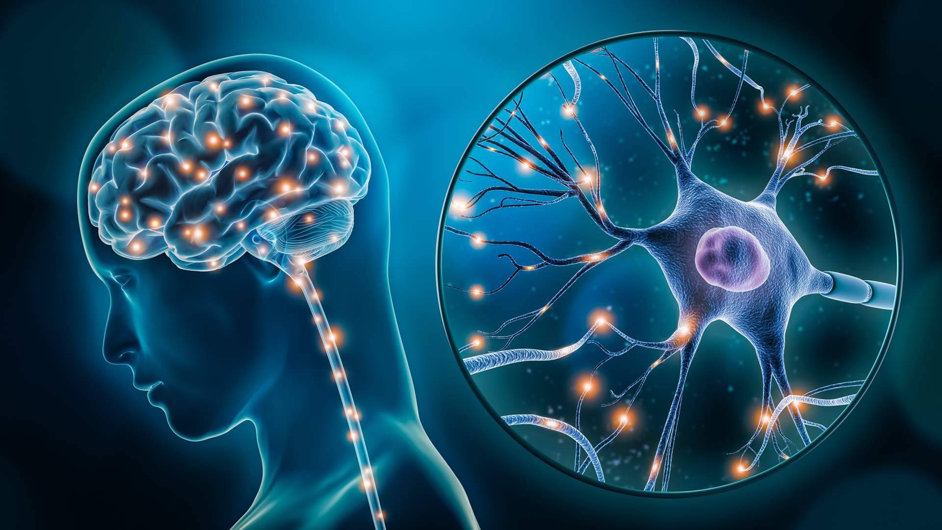 Actividades de estimulación cognitiva para realizar en familia con personas que sufren una enfermedad neurodegenerativa
